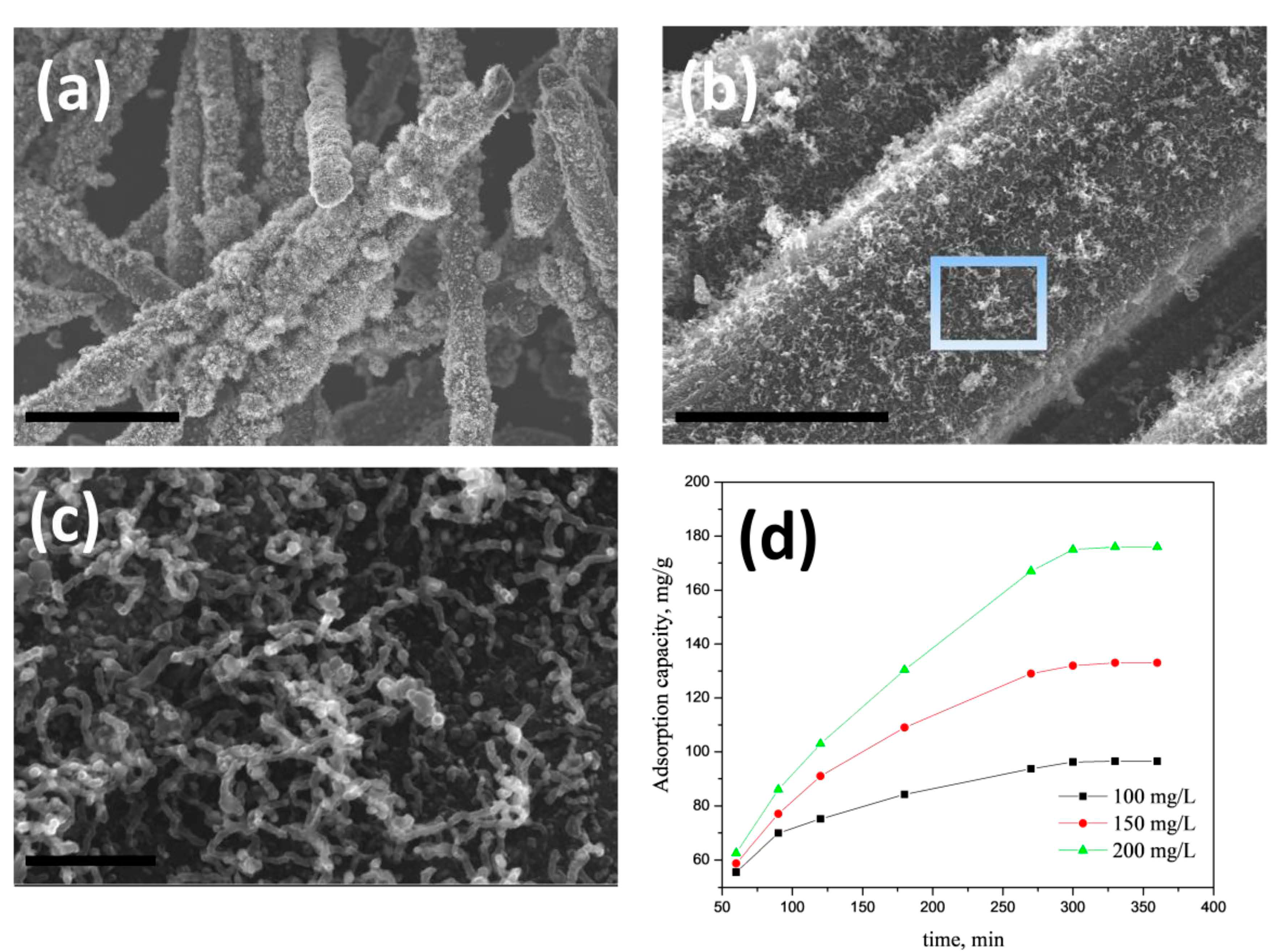 Nanomaterials 10 01895 g005