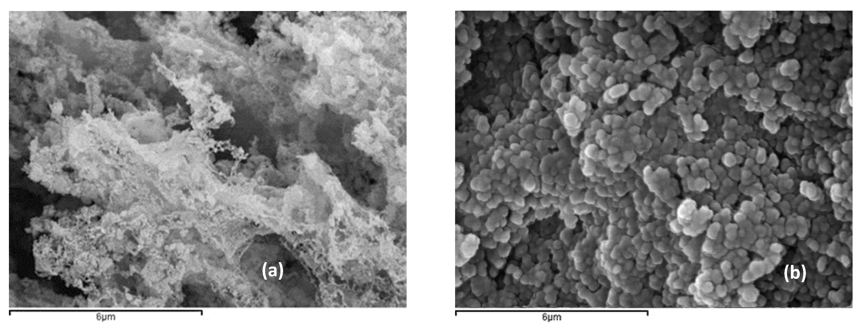 Nanomaterials 10 01907 g003
