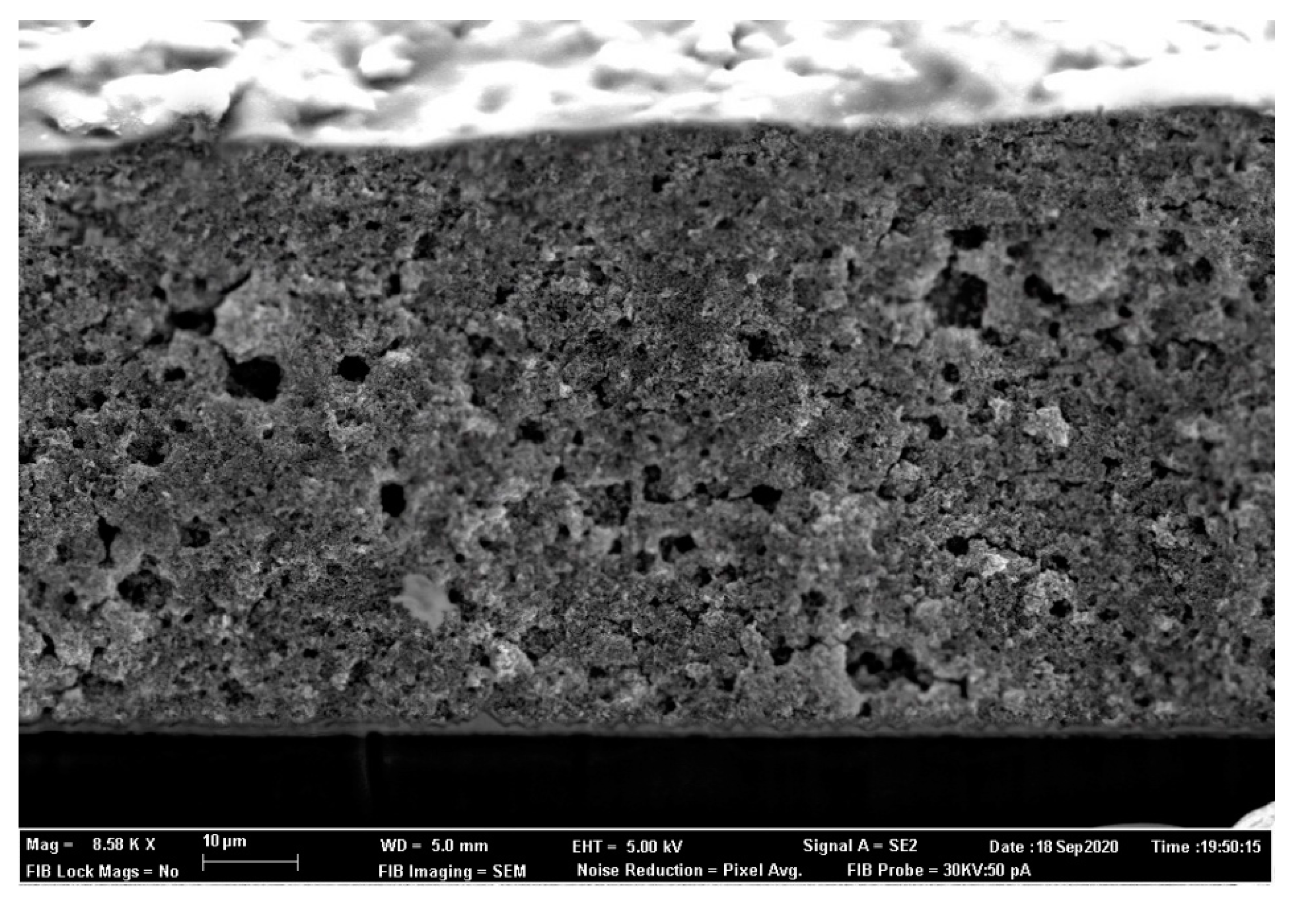 Nanomaterials 10 01907 g005