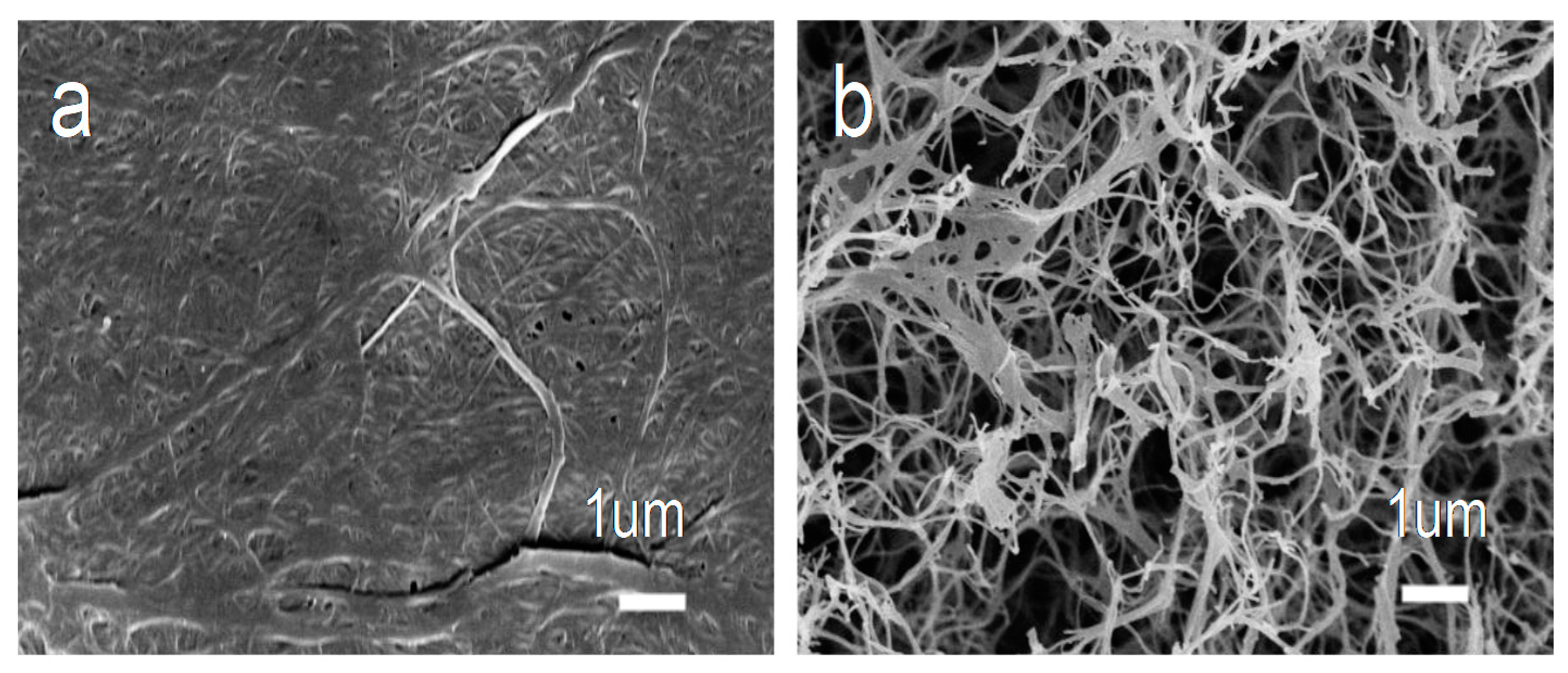 Nanomaterials 10 01912 g002