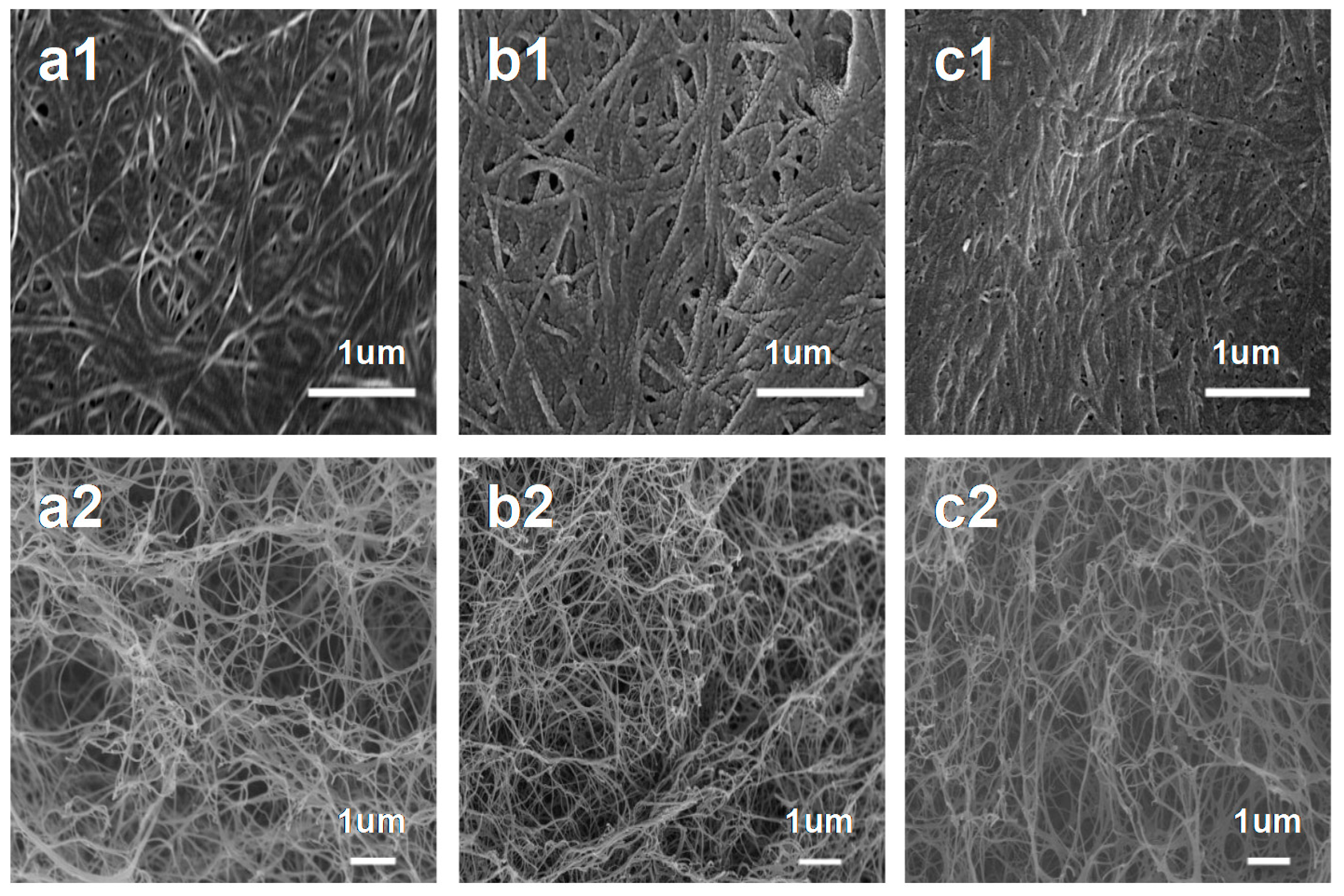 Nanomaterials 10 01912 g003