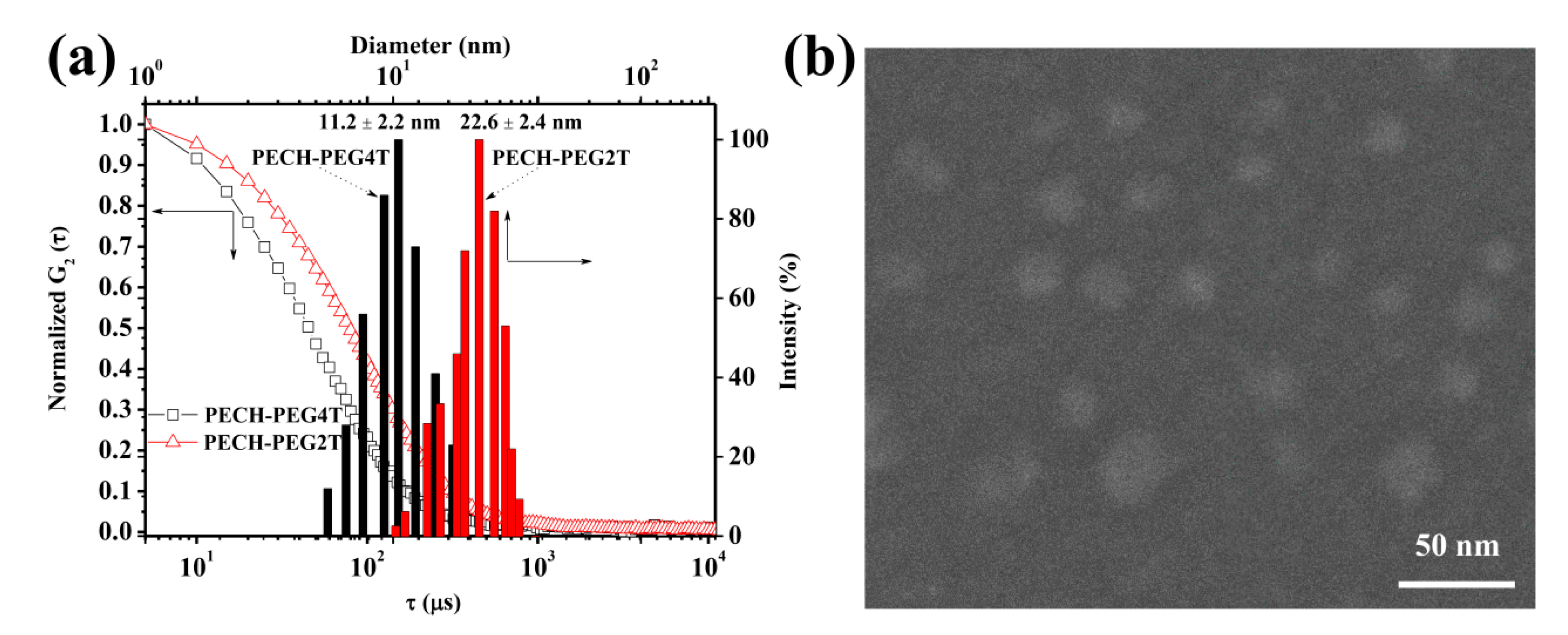 Nanomaterials 10 02006 g001