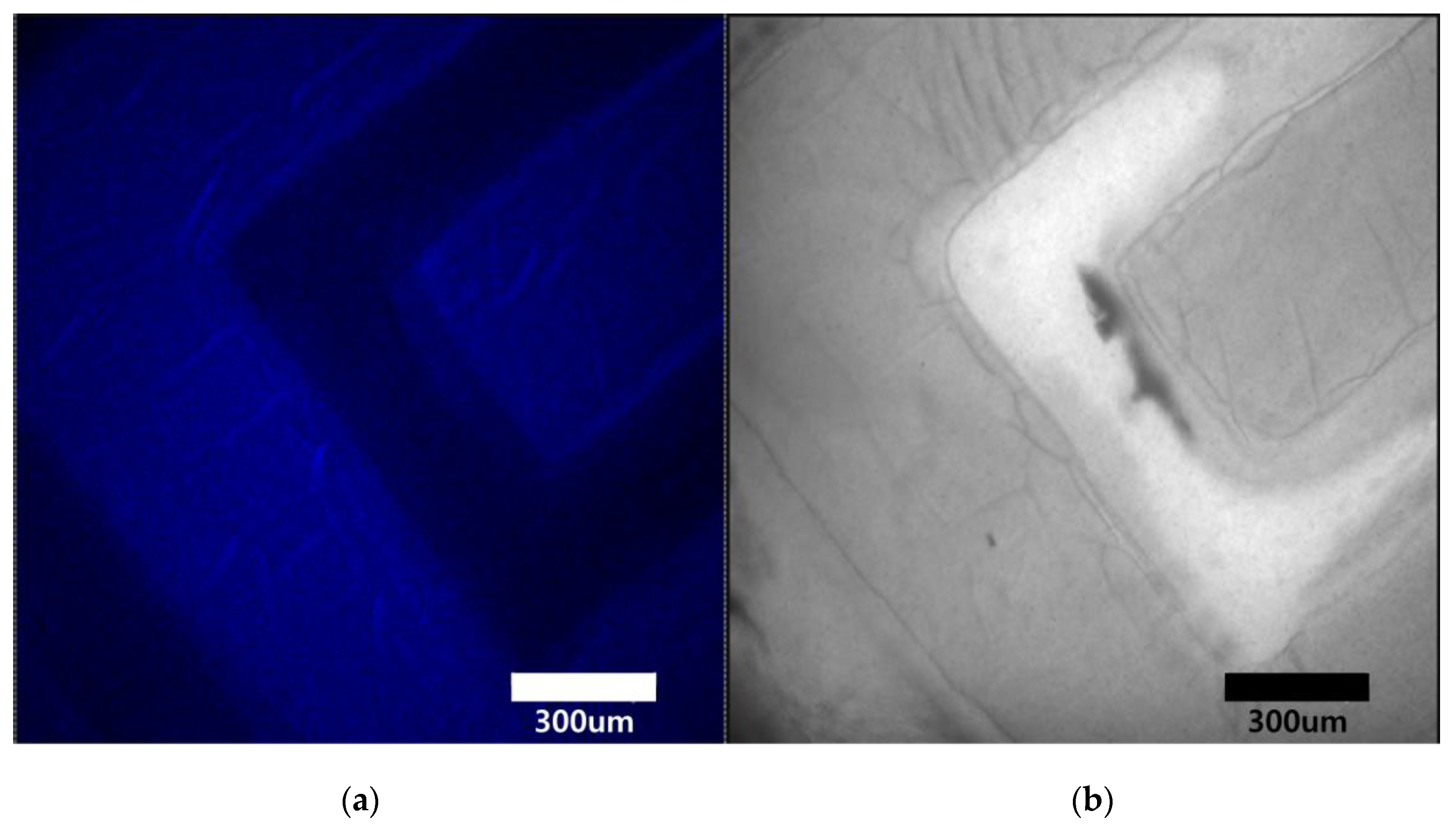 Nanomaterials 10 02054 g004 Nanomaterials 10 02054 g004