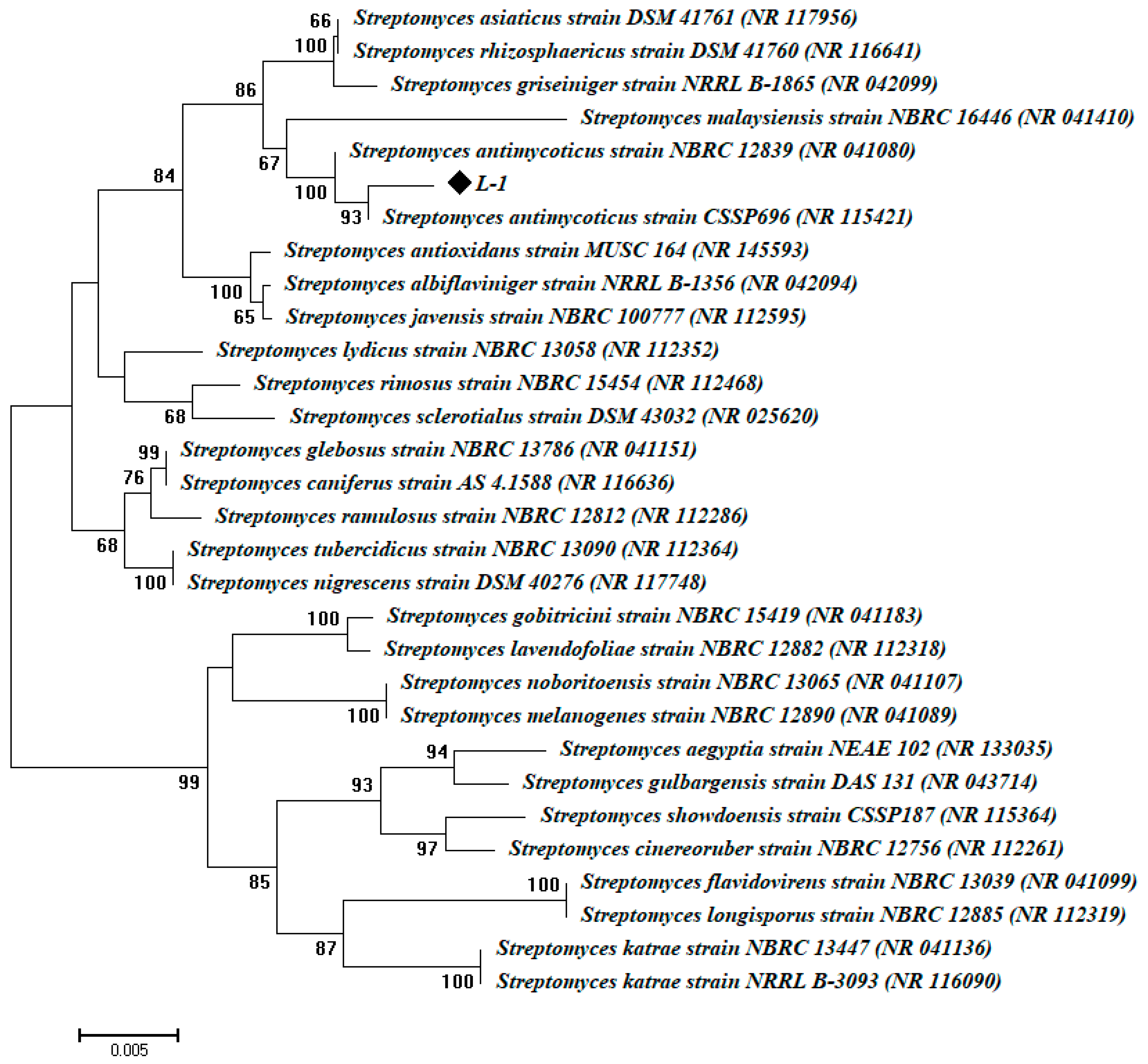 Nanomaterials 10 02082 g001