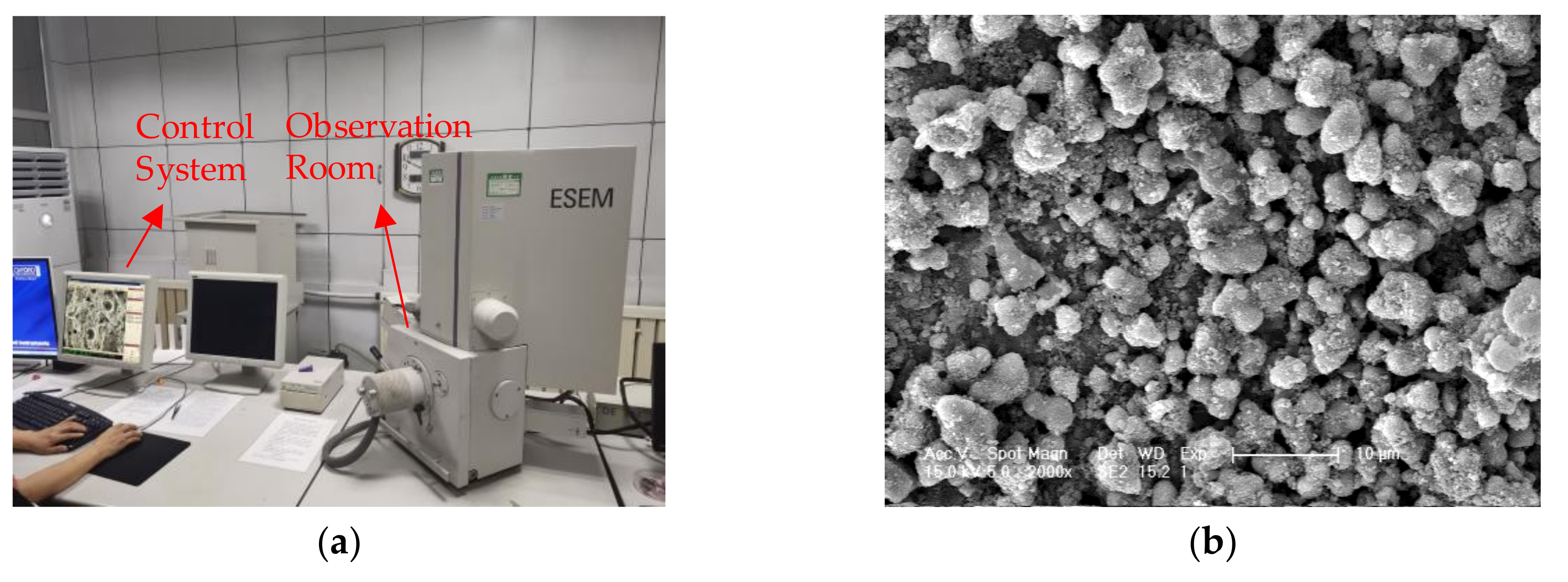 Nanomaterials 10 02088 g006