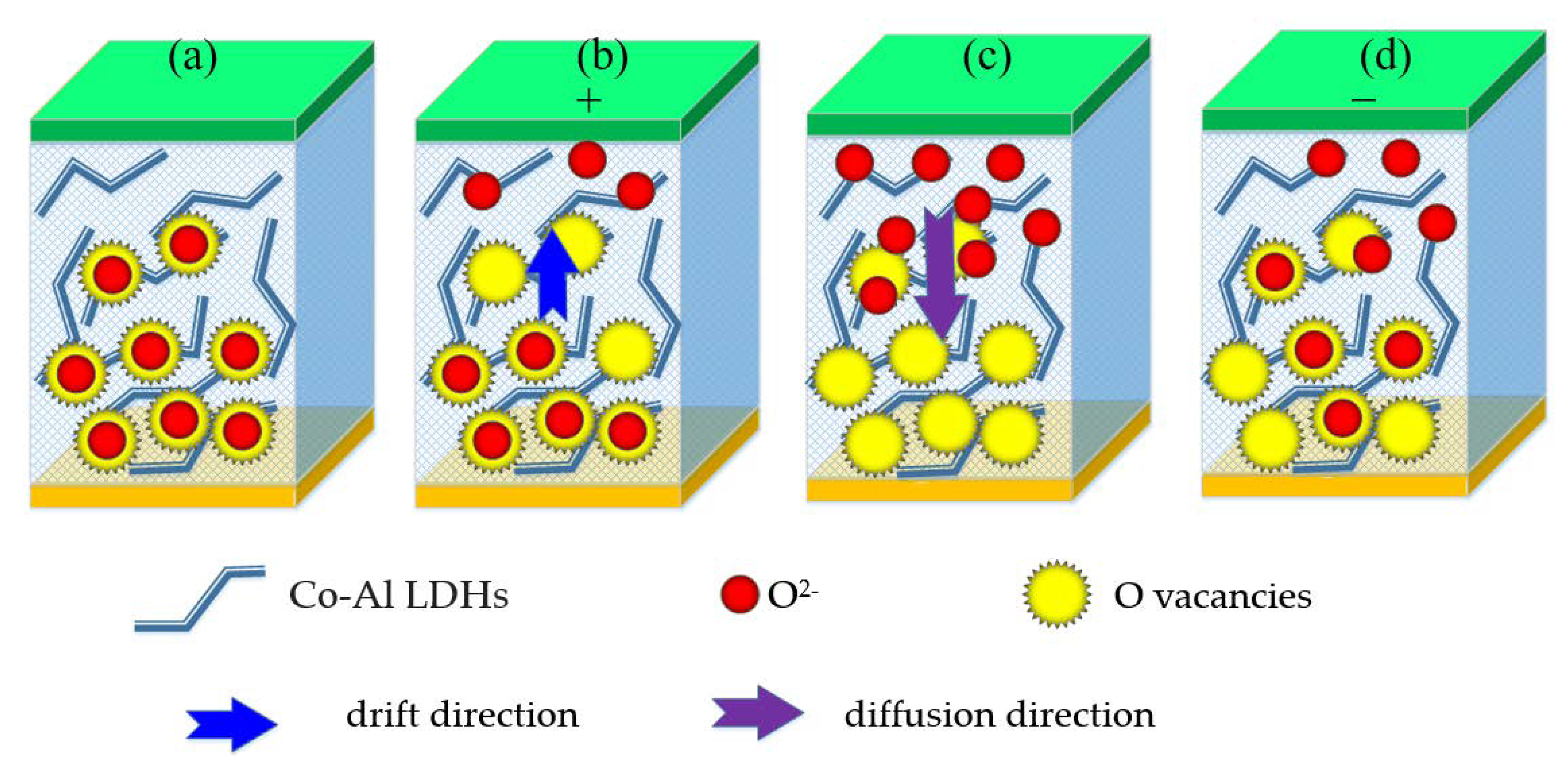 Nanomaterials 10 02095 g008