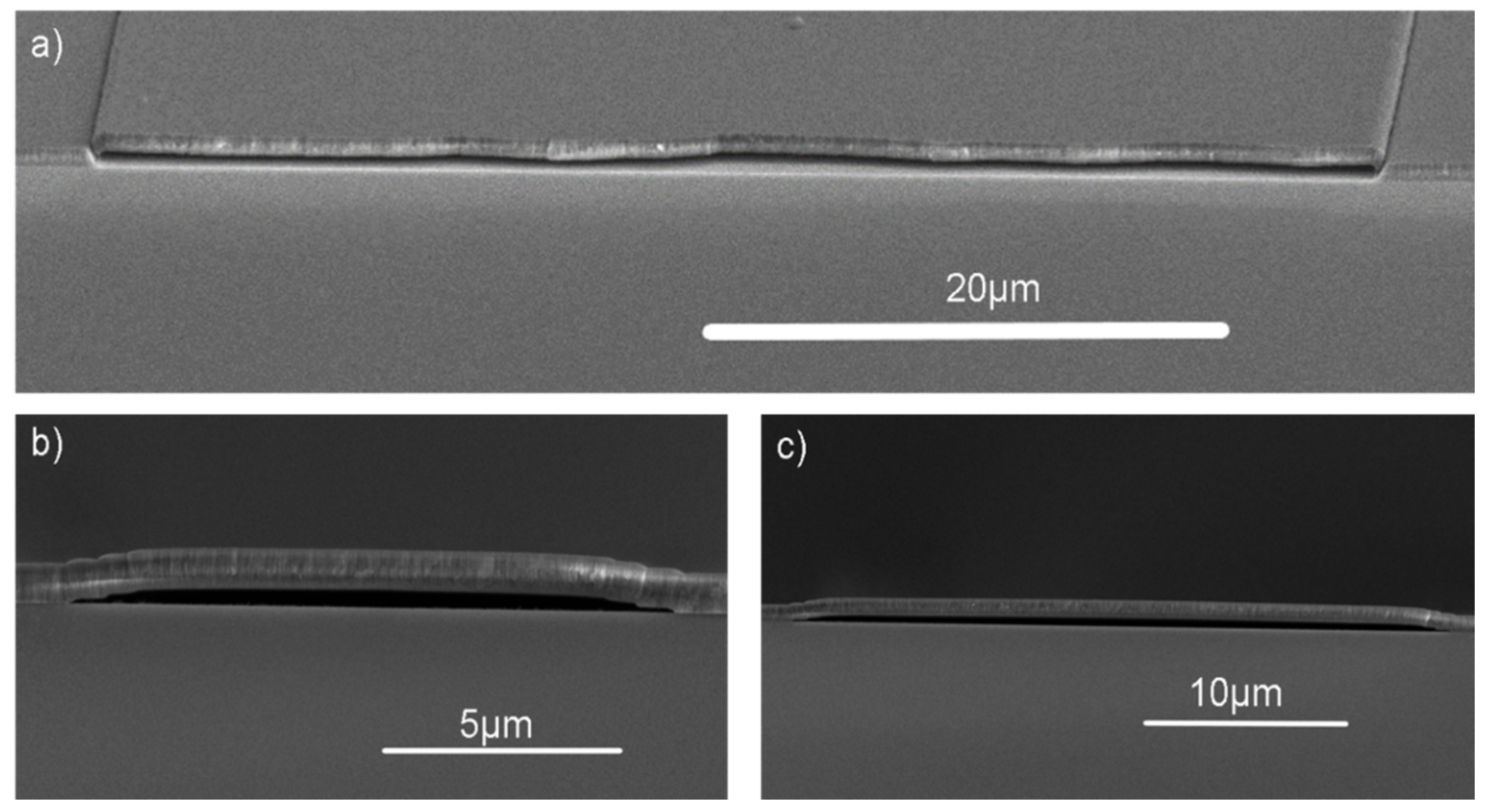 Nanomaterials 10 02105 g004