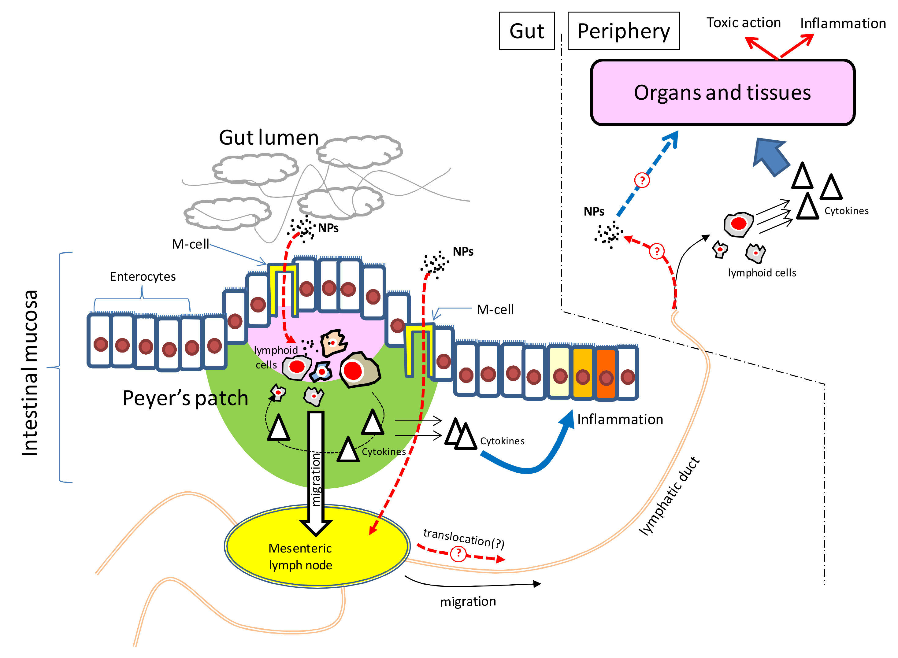 Nanomaterials 10 02126 g007 Nanomaterials 10 02126 g007