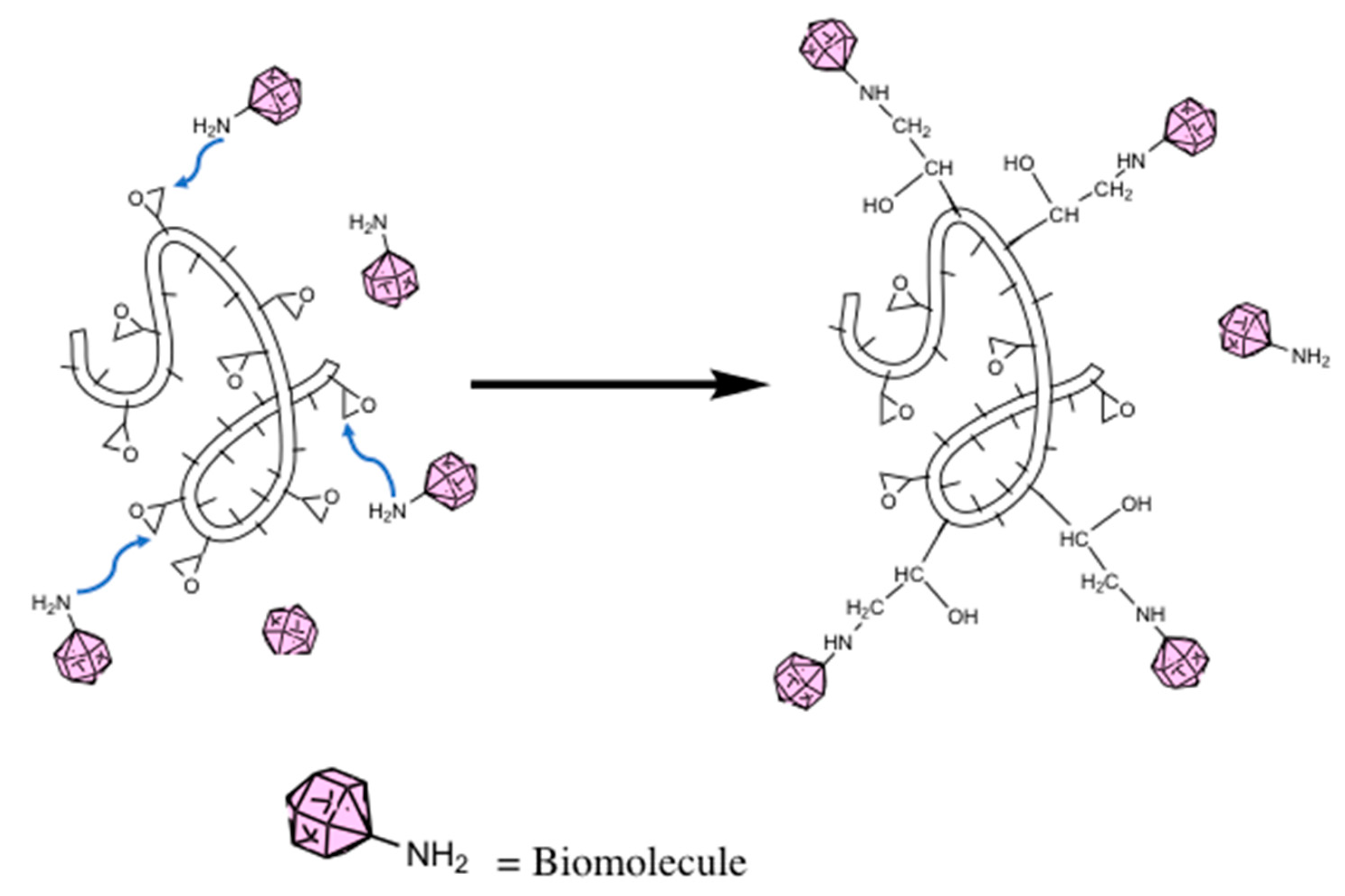 Nanomaterials 10 02142 g004 Nanomaterials 10 02142 g004