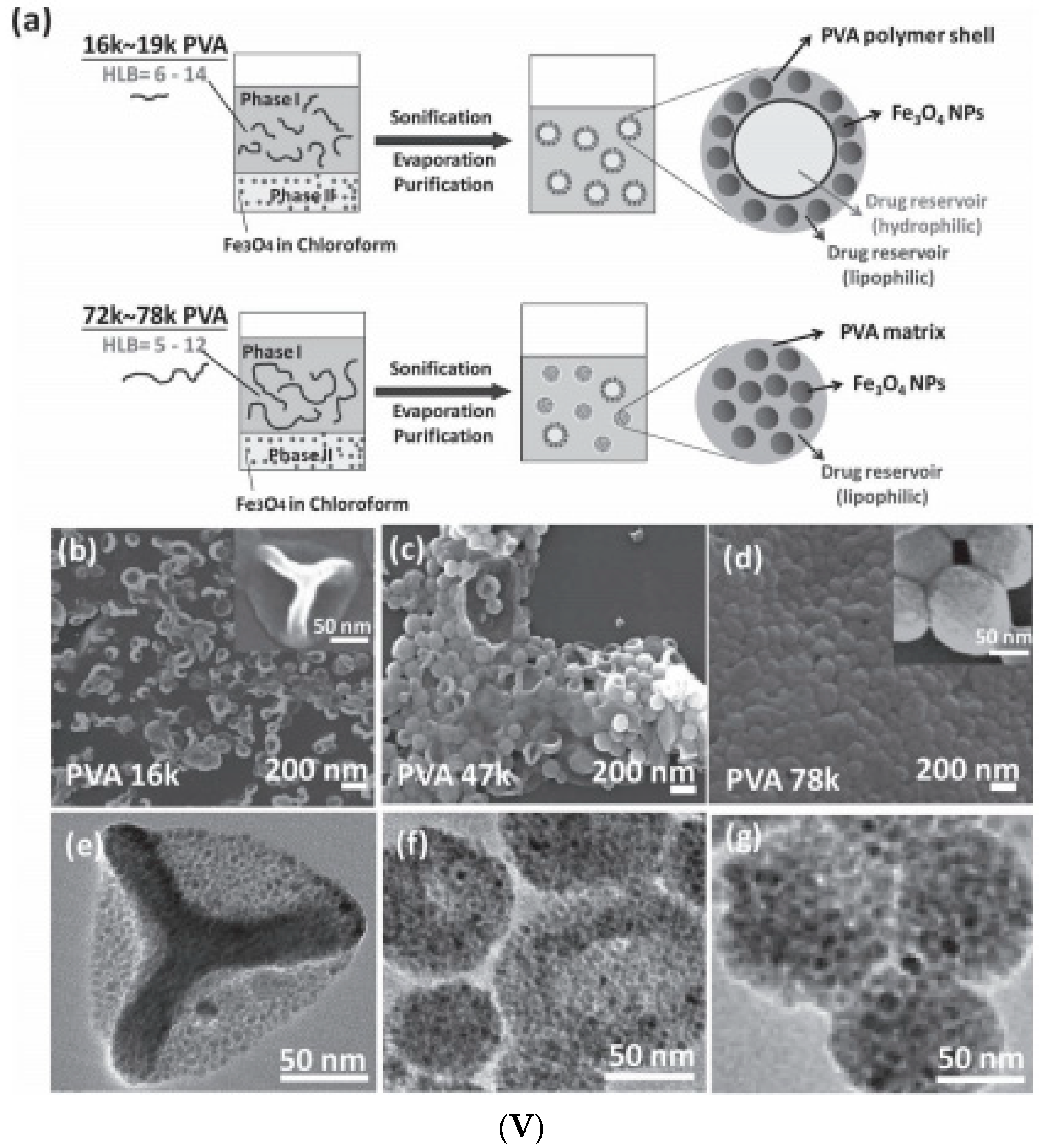 Nanomaterials Free Full Text From Single Core Nanoparticles In Ferrofluids To Multi Core Magnetic Nanocomposites Assembly Strategies Structure And Magnetic Behavior Html