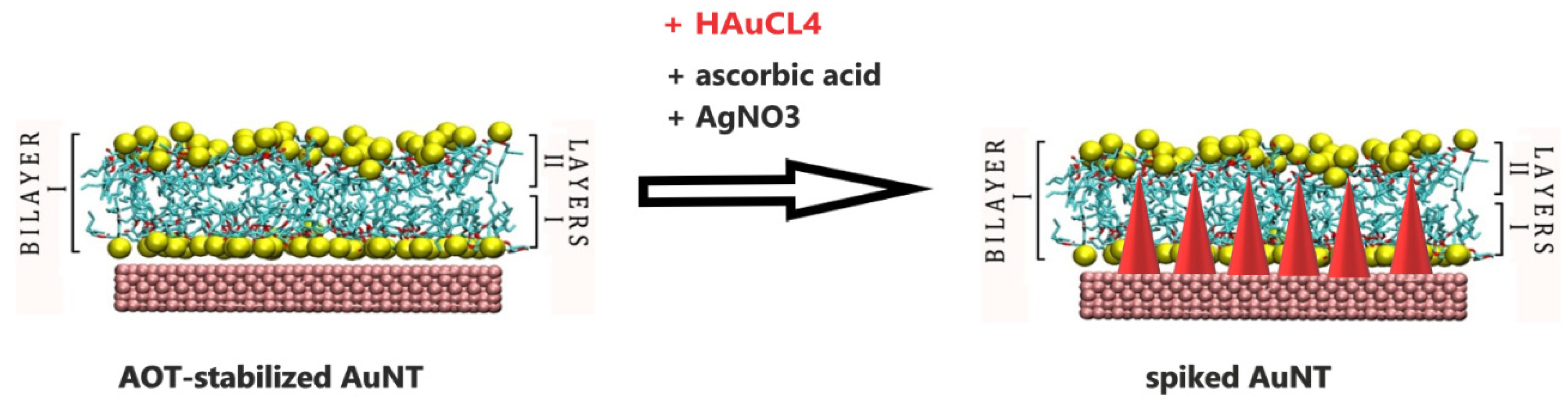 Nanomaterials 10 02187 sch004 Nanomaterials 10 02187 sch004
