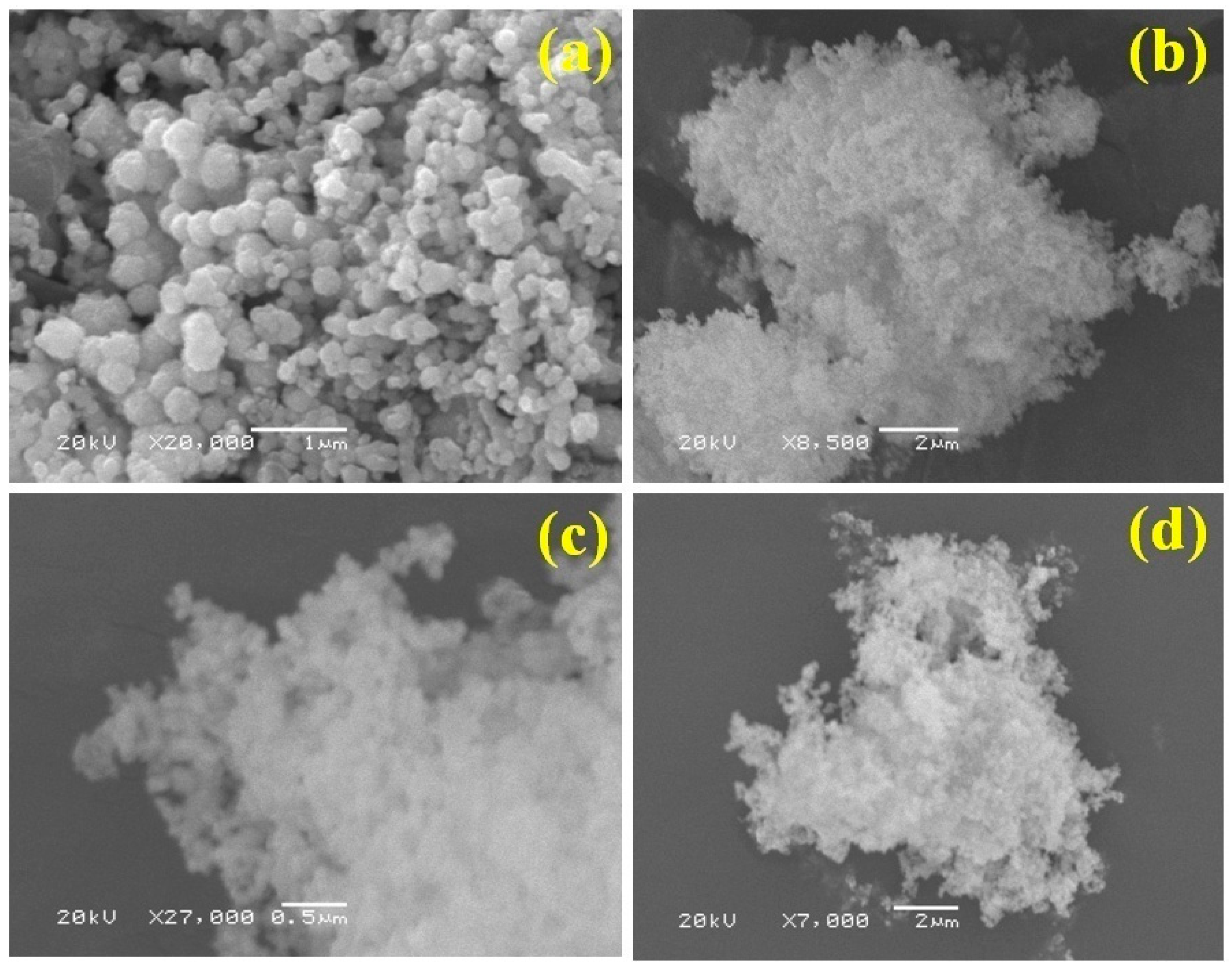 Nanomaterials 10 02195 g003