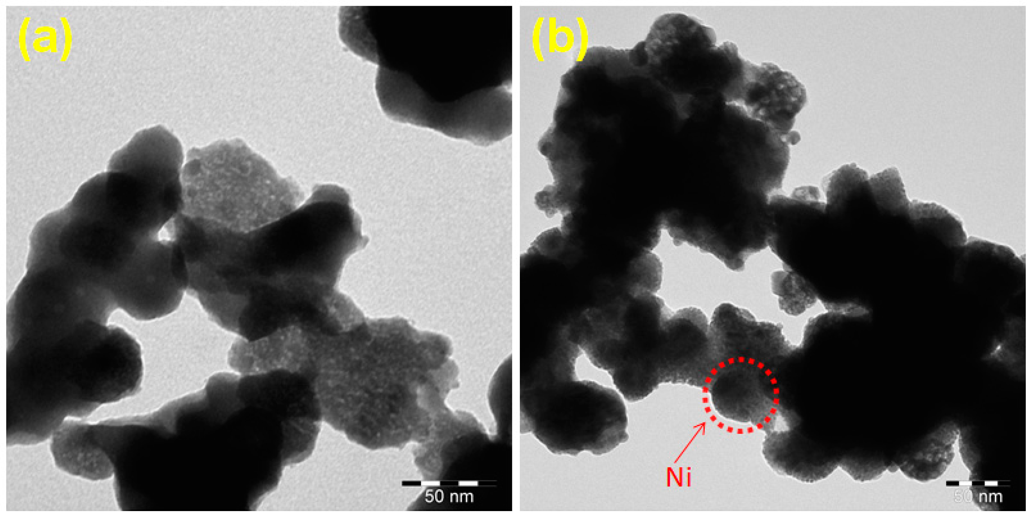Nanomaterials 10 02195 g004