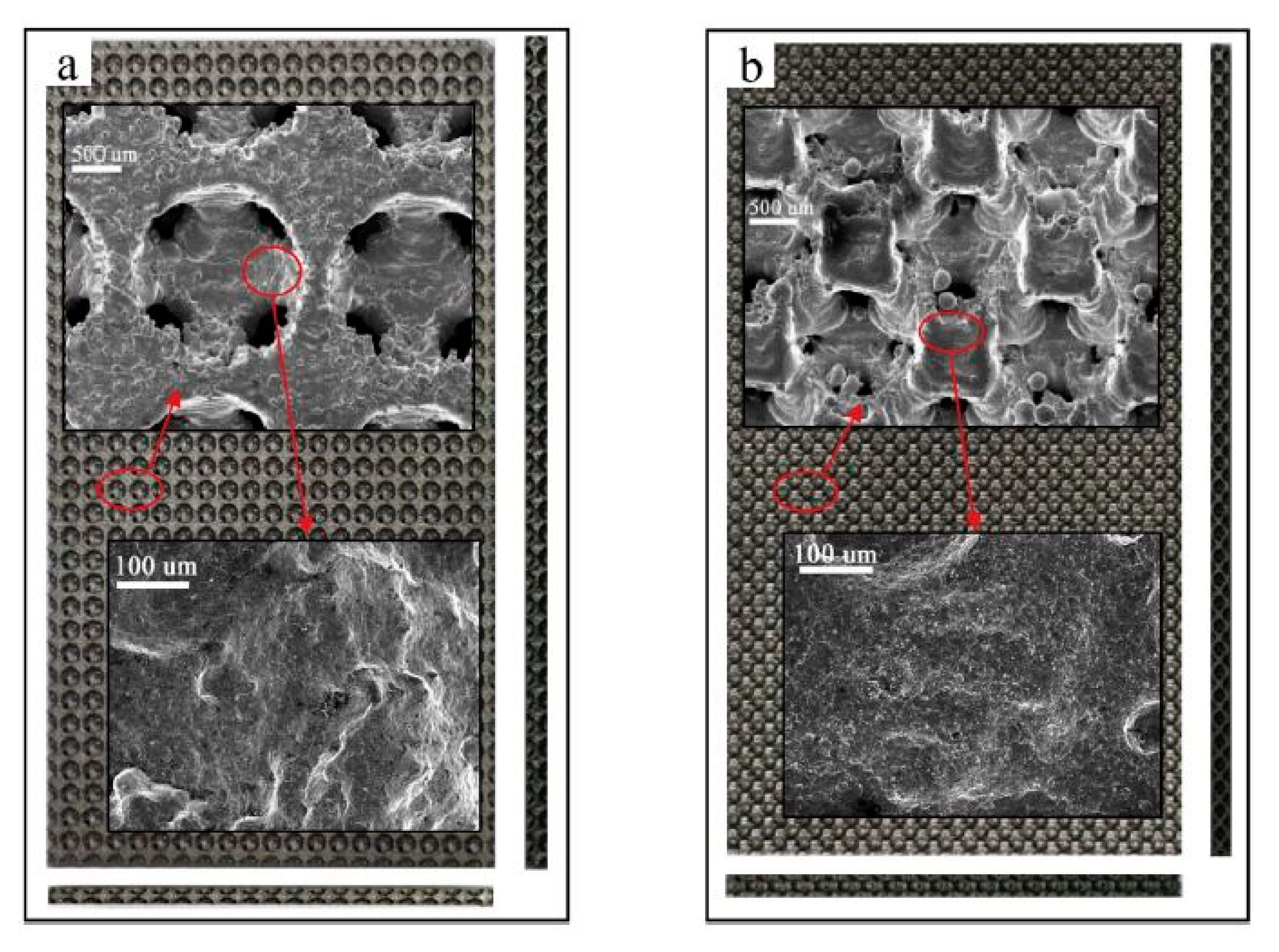 Nanomaterials 10 02198 g021