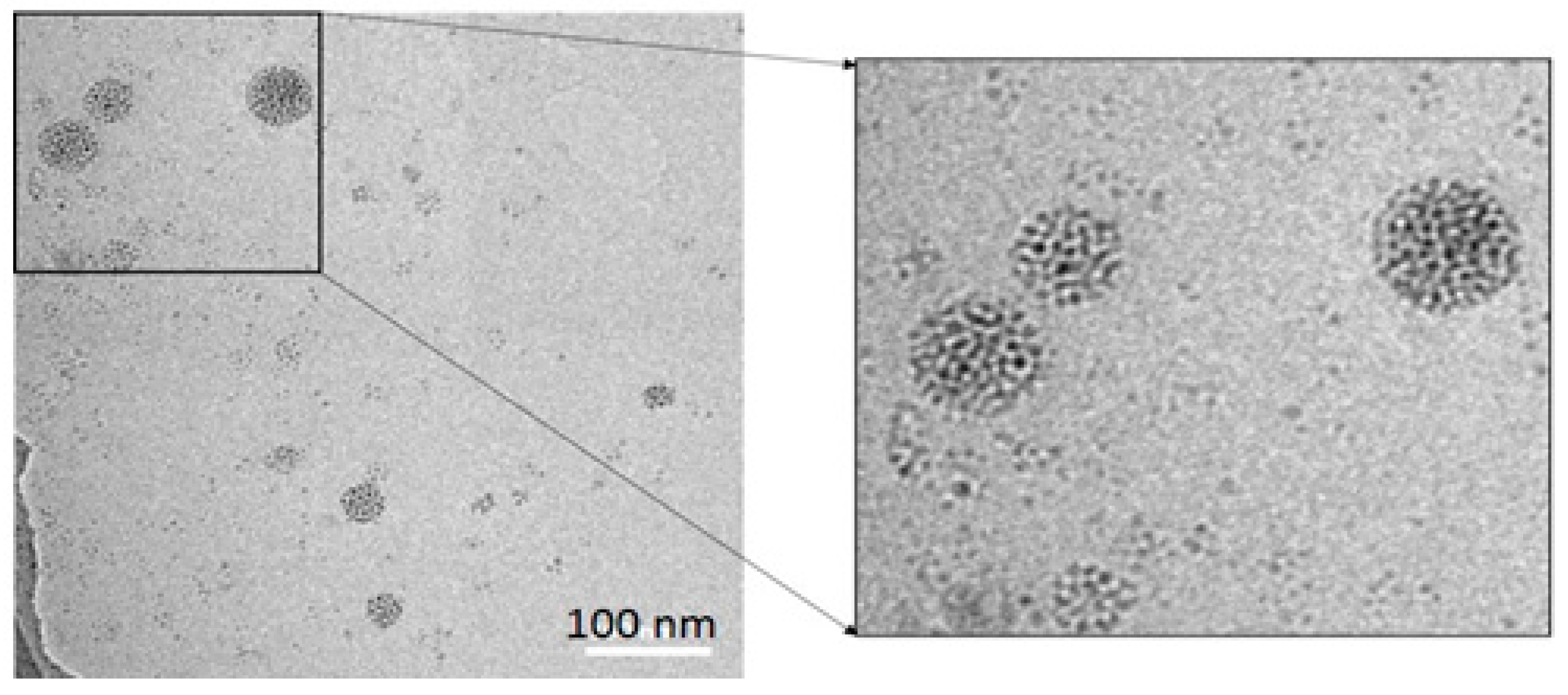 Nanomaterials 10 02250 g001