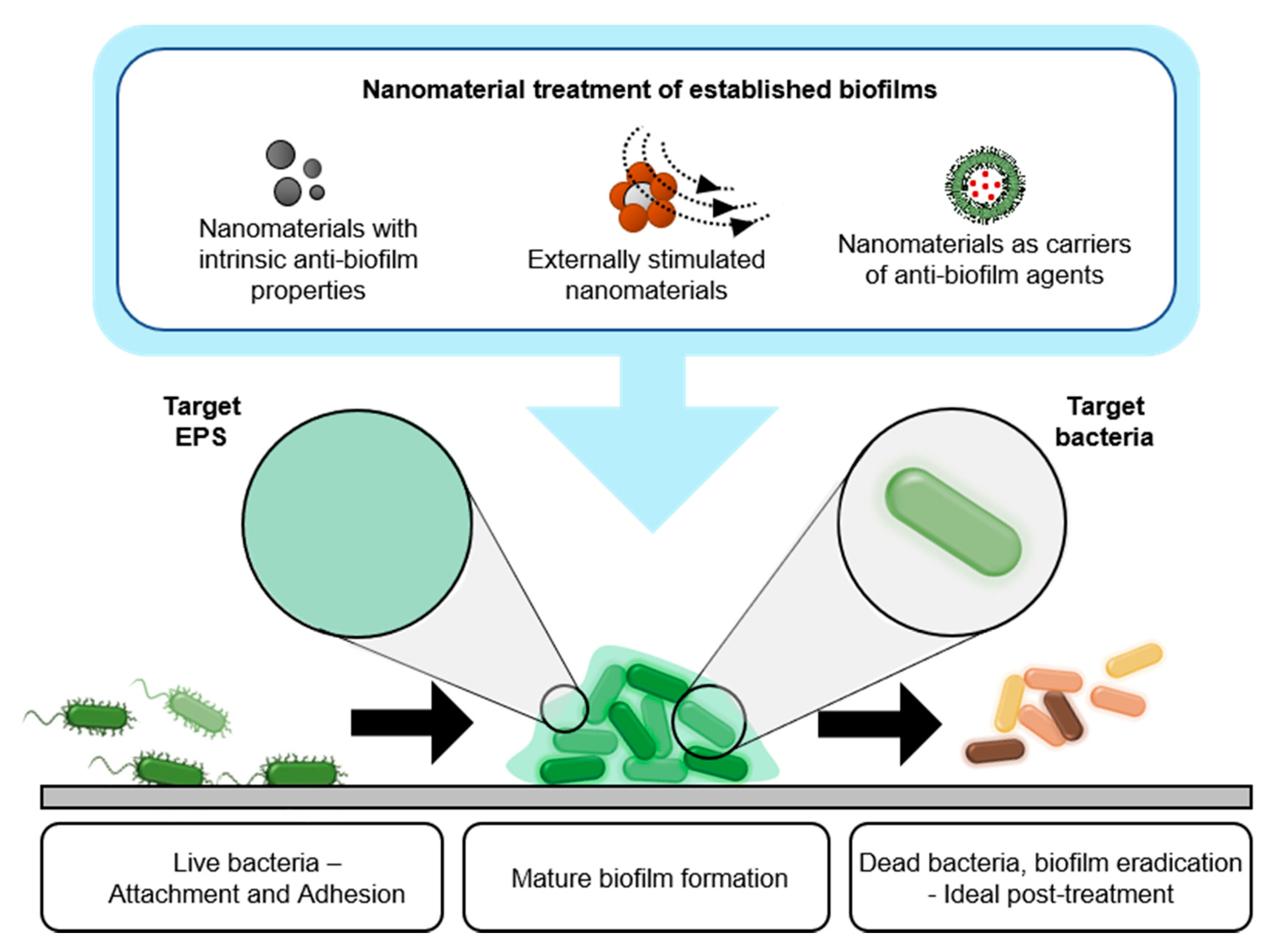 Nanomaterials 10 02253 g002