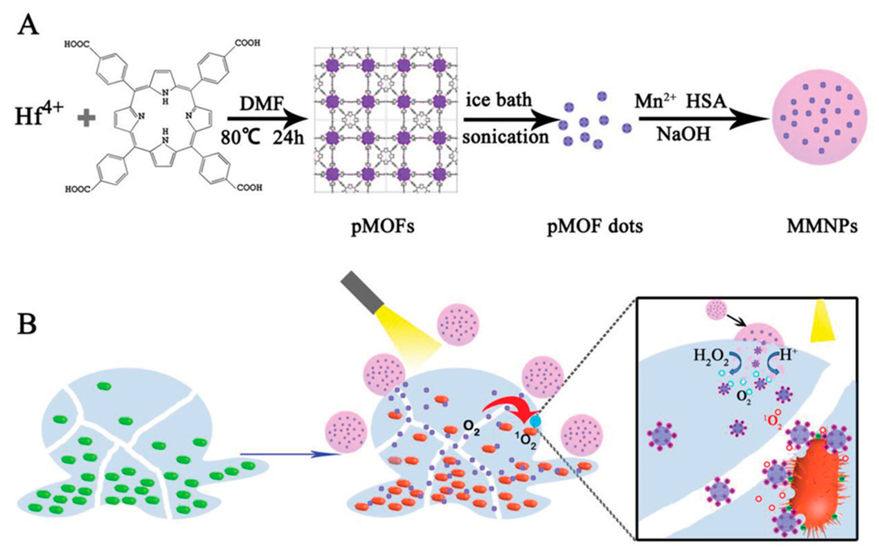 Nanomaterials 10 02253 g007