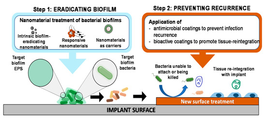 Nanoparticles for Oral Biofilm Treatments