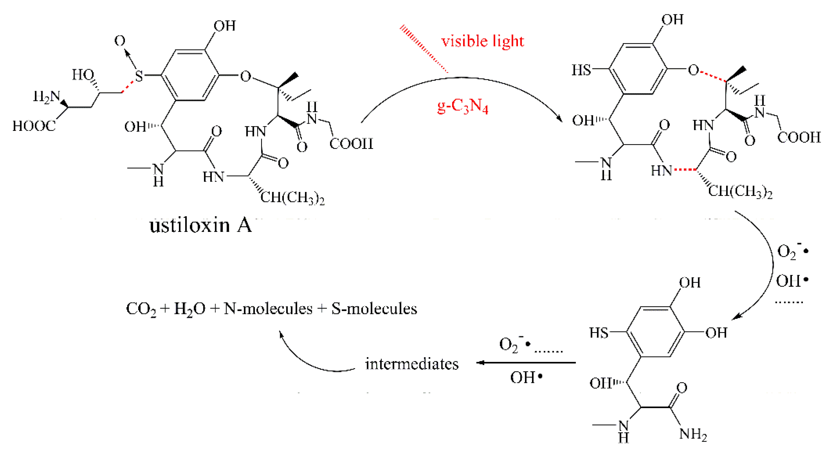 Nanomaterials 10 02256 g009 Nanomaterials 10 02256 g009