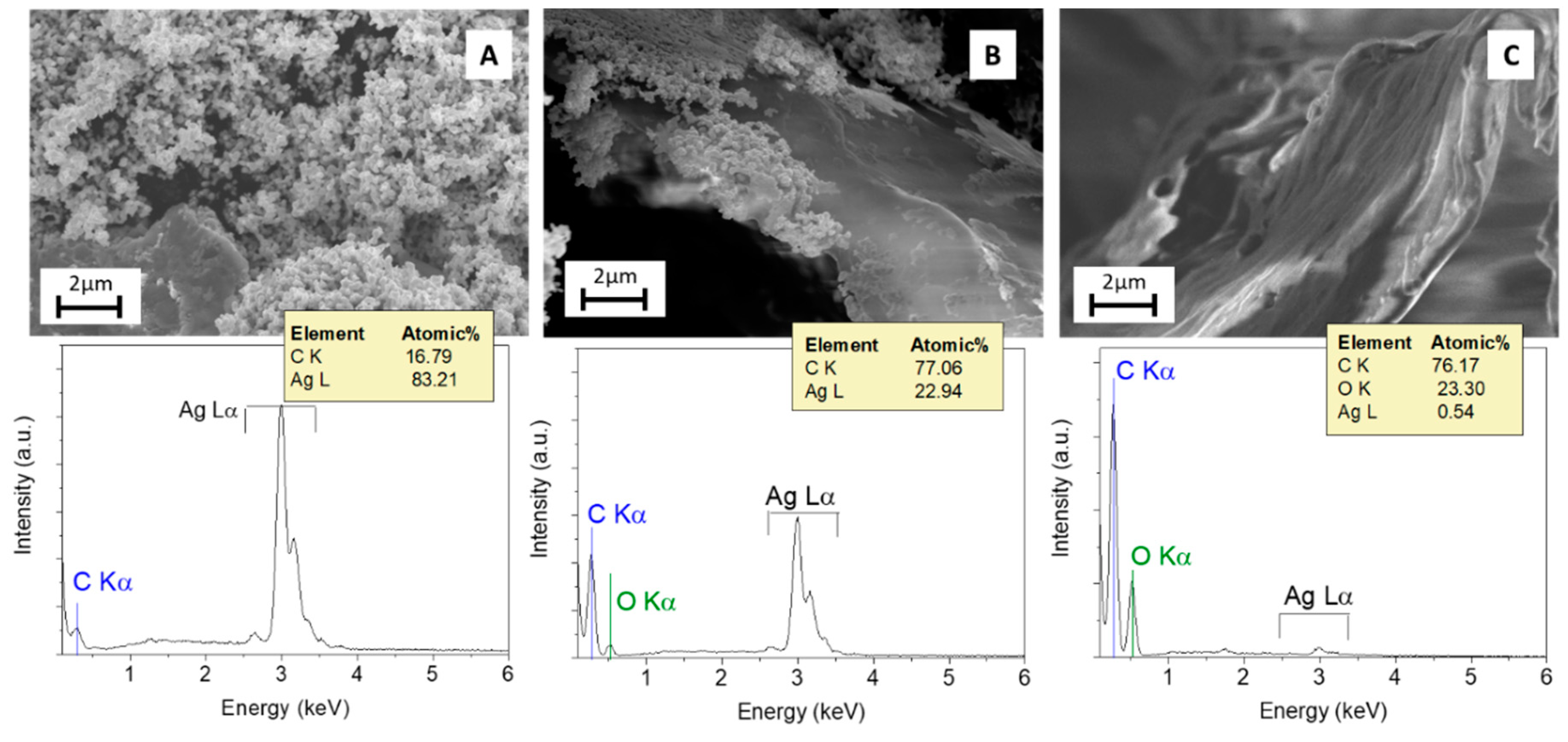 Nanomaterials 10 02269 g003