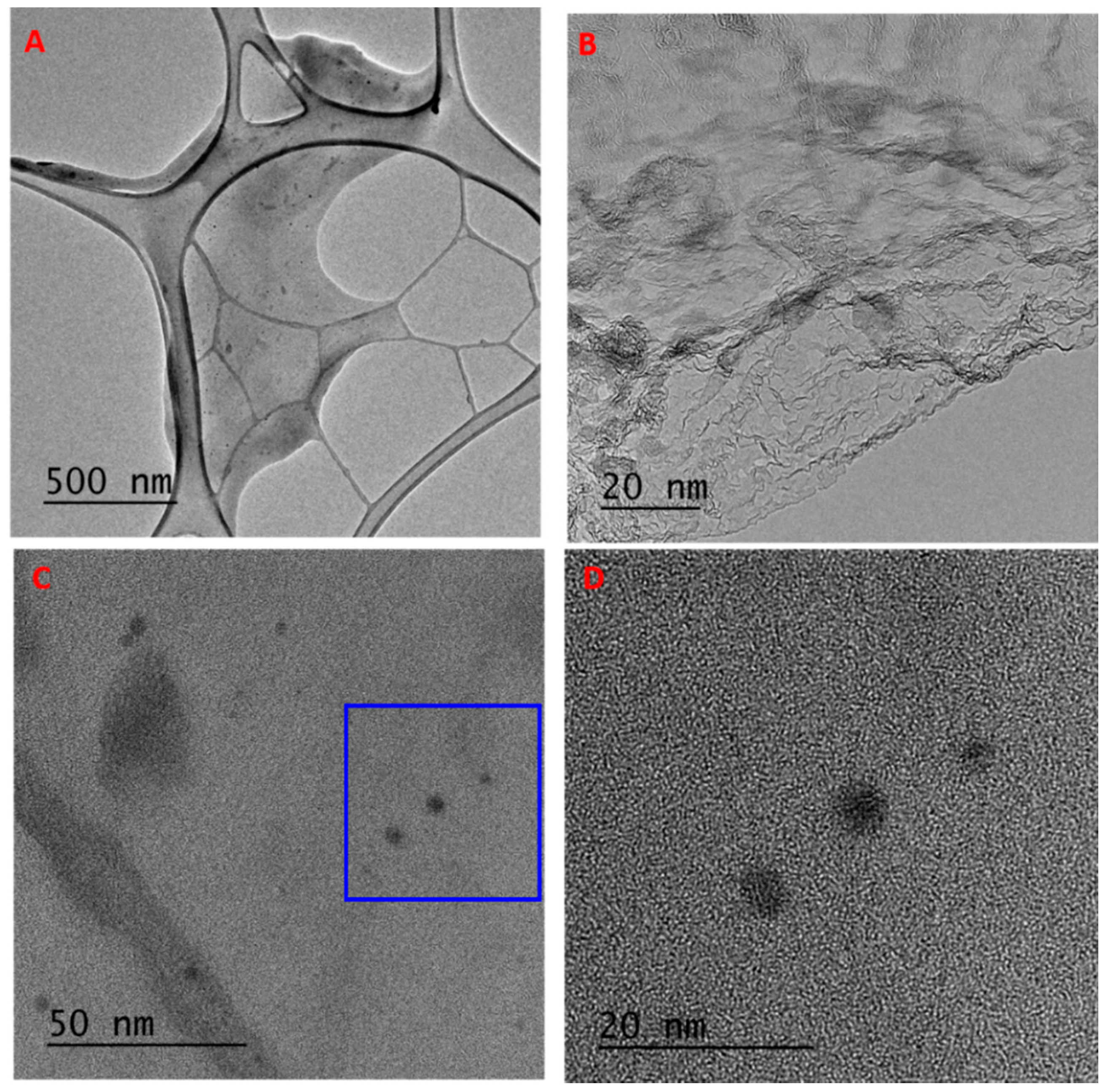 Nanomaterials 10 02269 g005