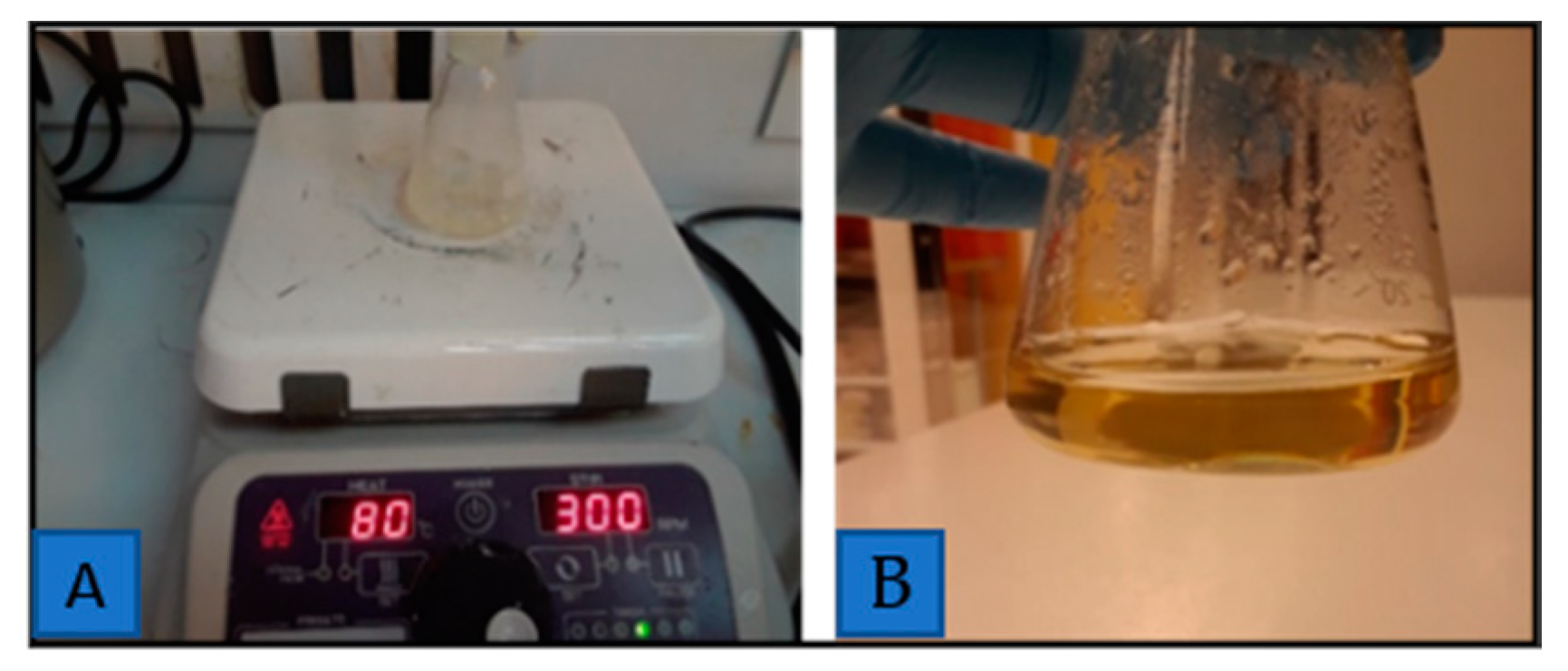Nanomaterials 10 02273 g001 Nanomaterials 10 02273 g001