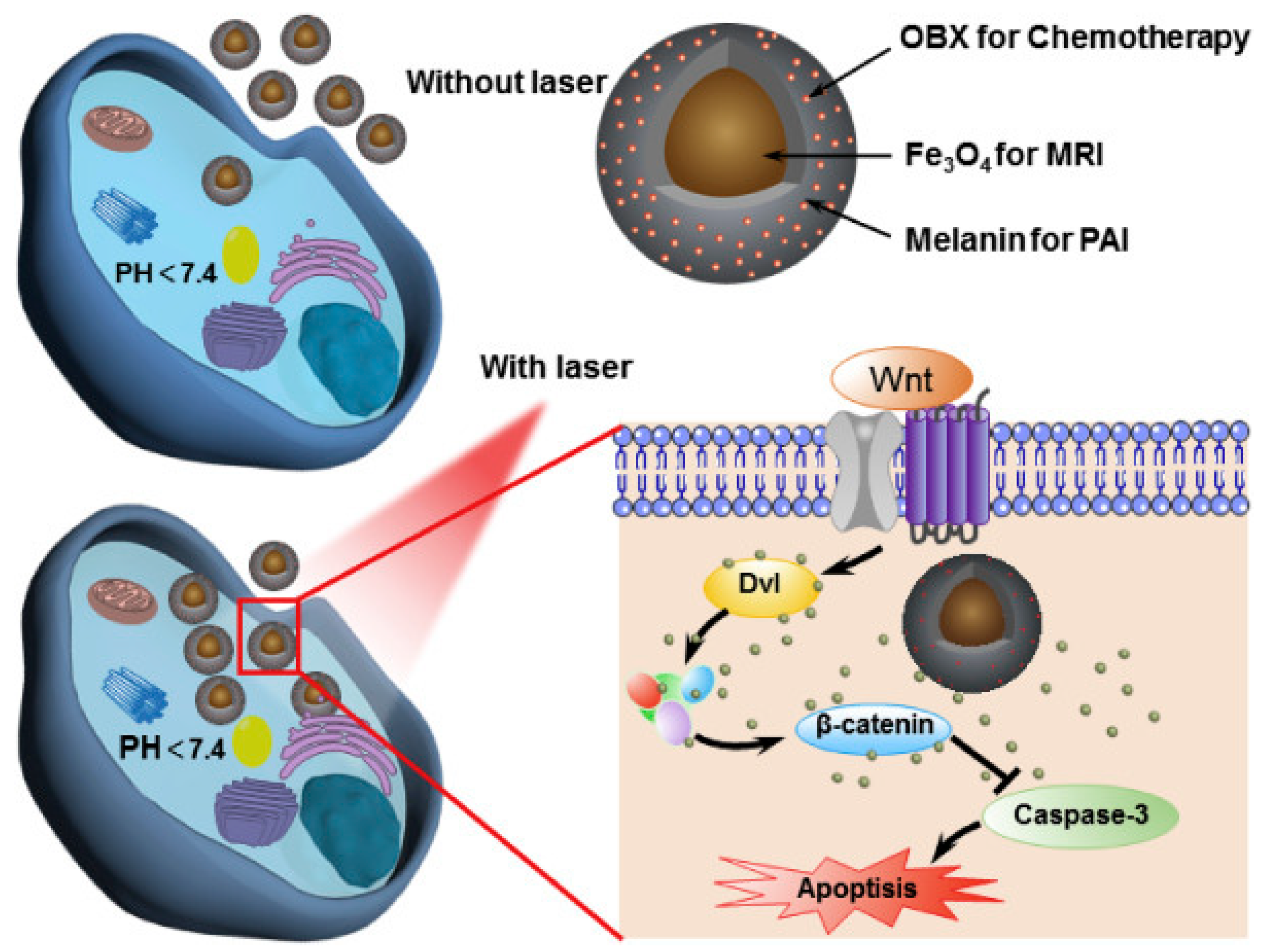 Nanomaterials 10 02276 g014