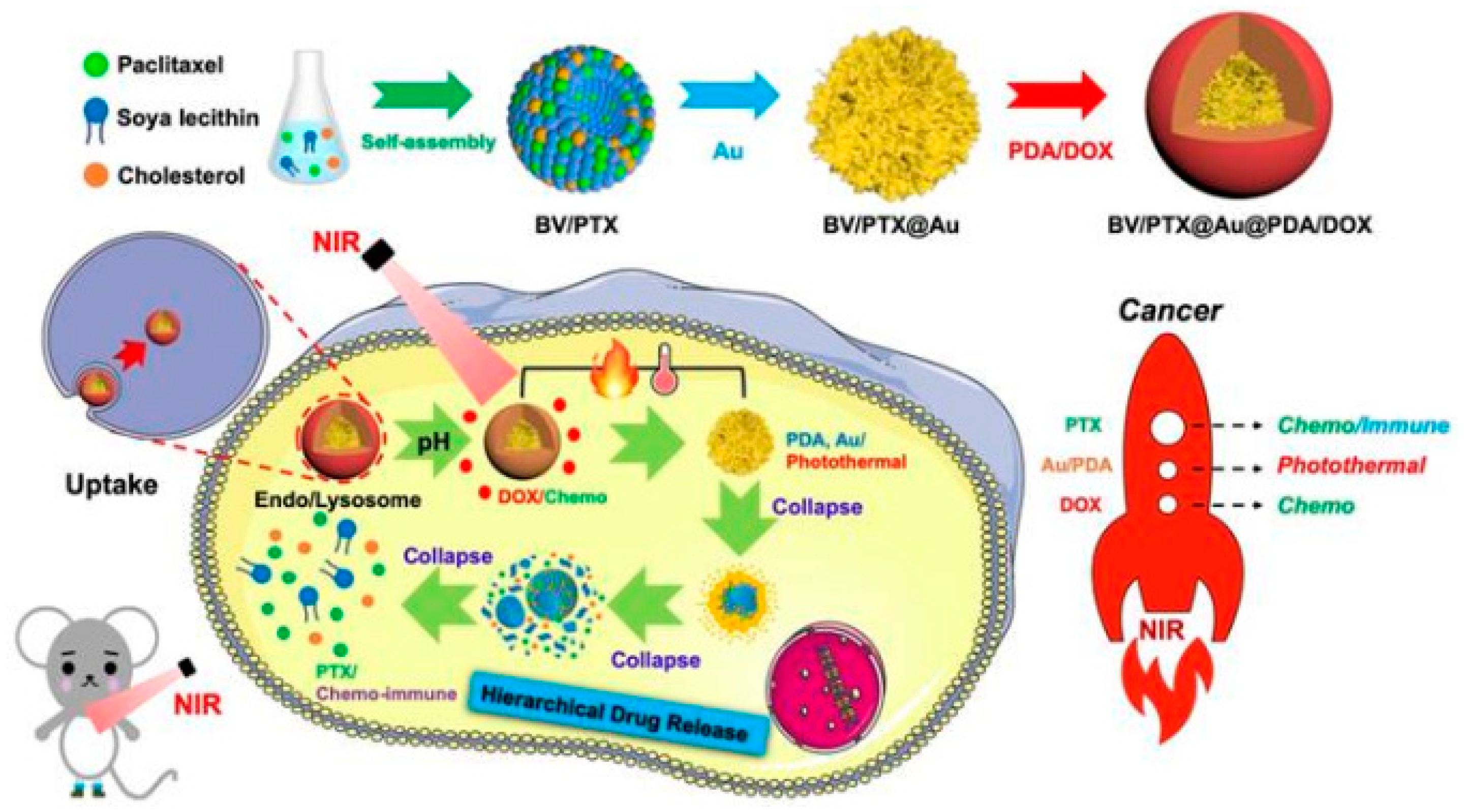 Nanomaterials 10 02276 g016