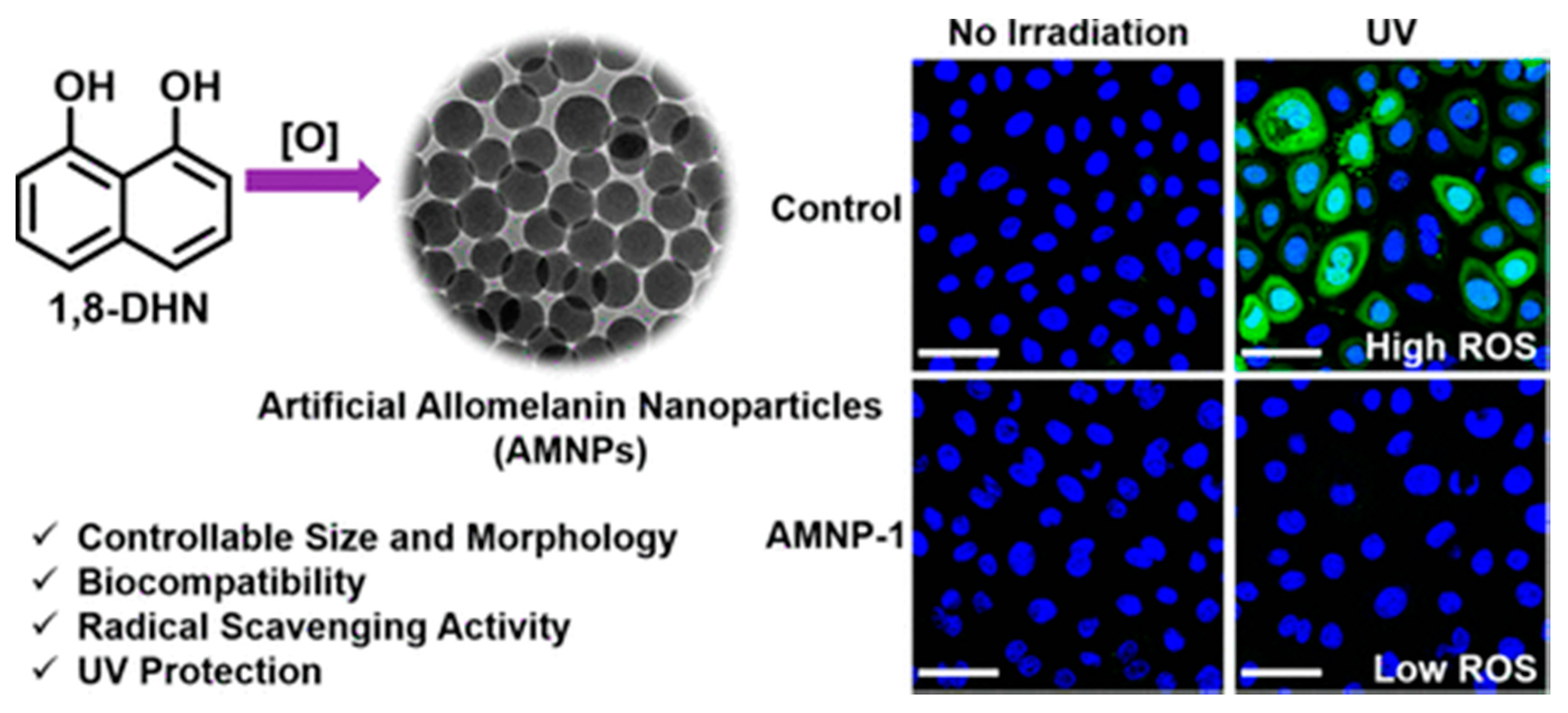 Nanomaterials 10 02276 g019