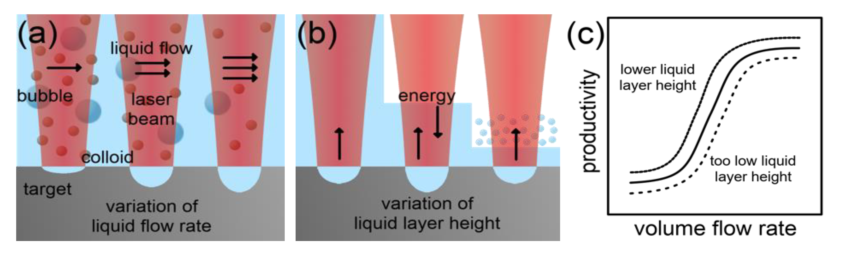 Nanomaterials 10 02317 g011
