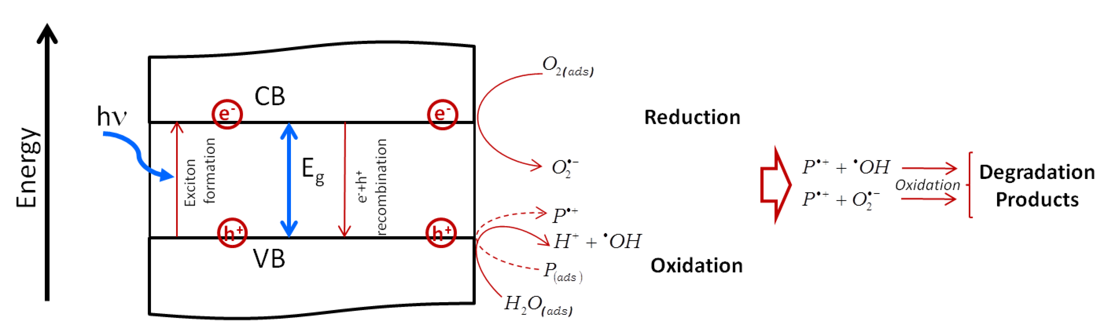 Nanomaterials 10 02317 g019
