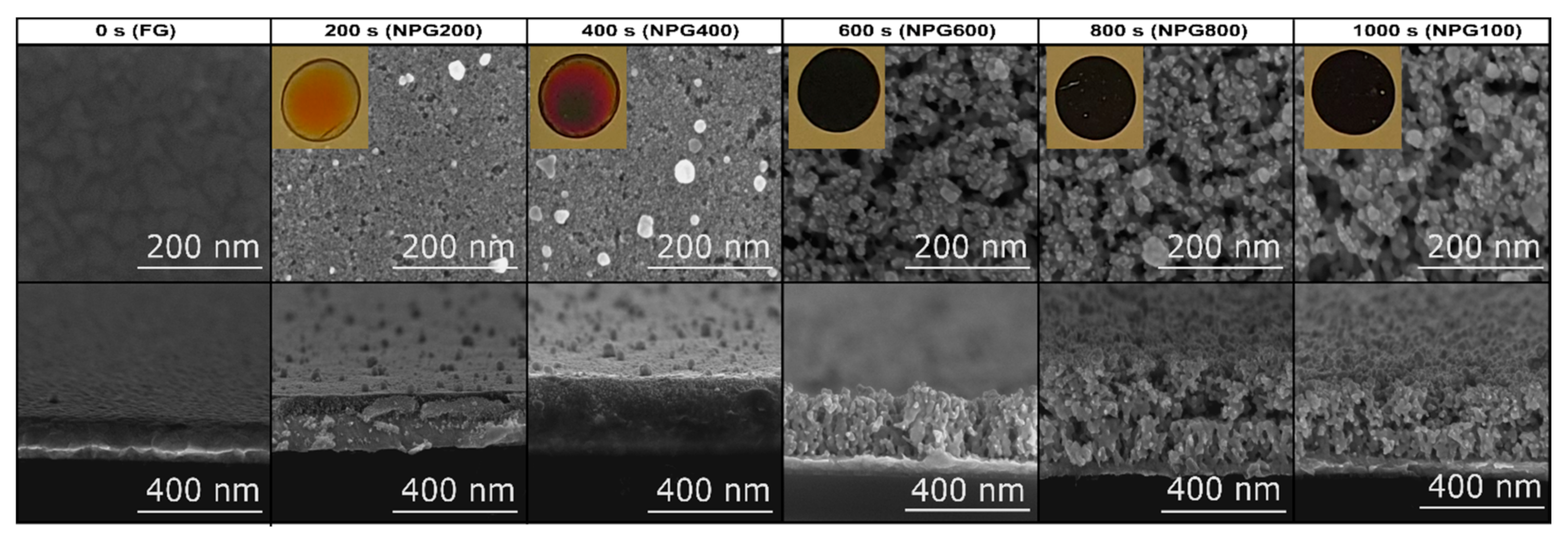Nanomaterials 10 02321 g001