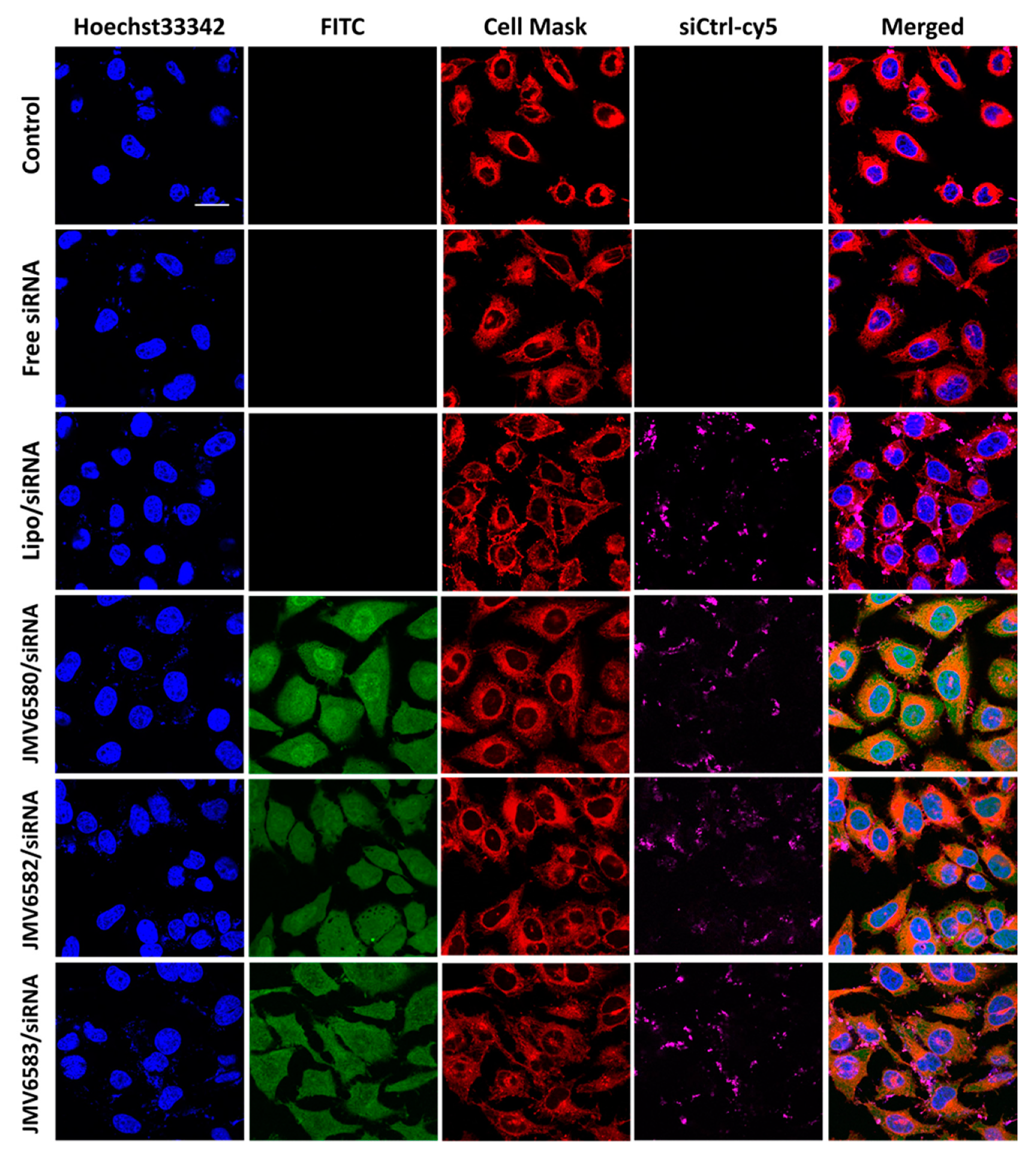 Nanomaterials 10 02334 g004 Nanomaterials 10 02334 g004