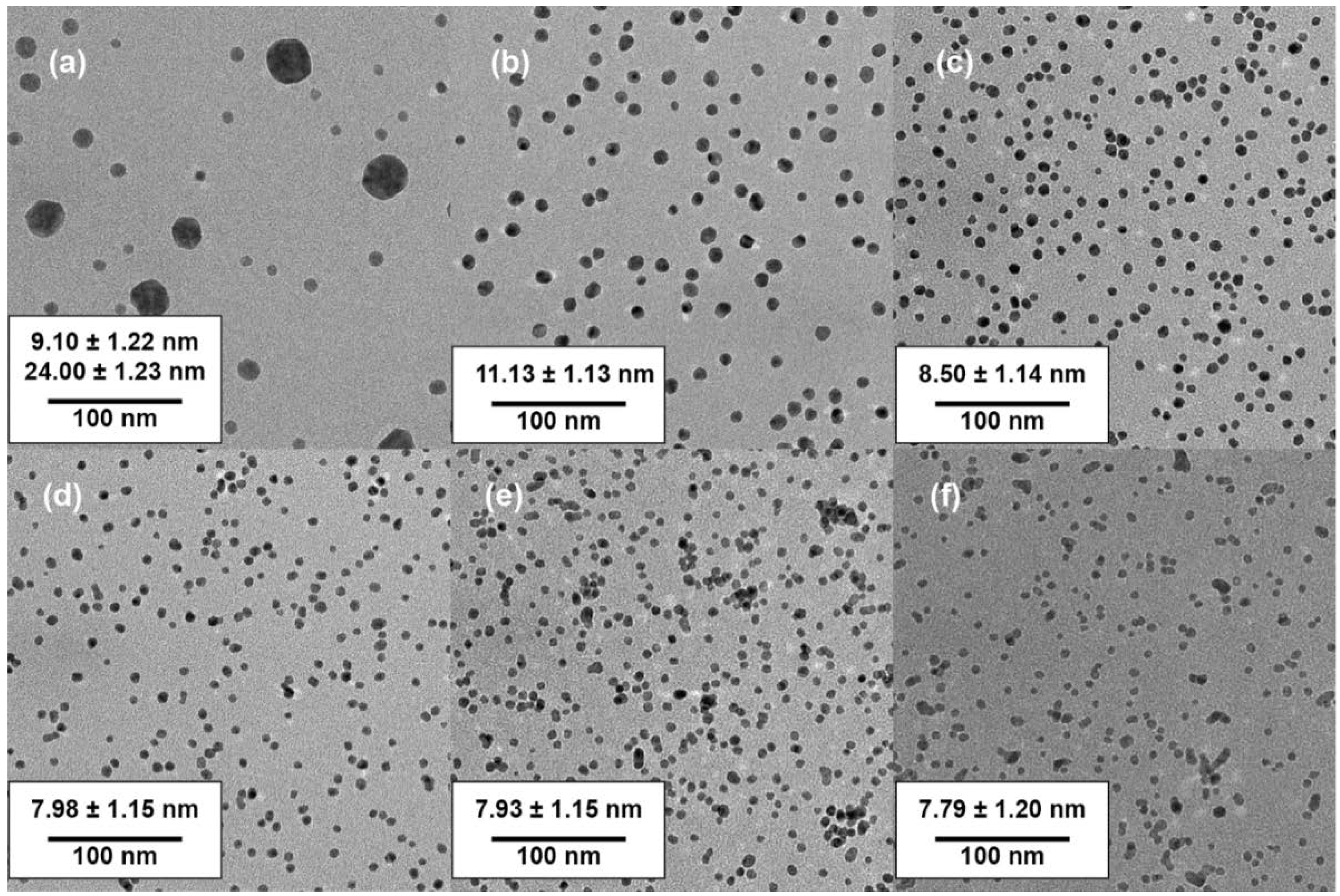 Nanomaterials 10 02359 g004
