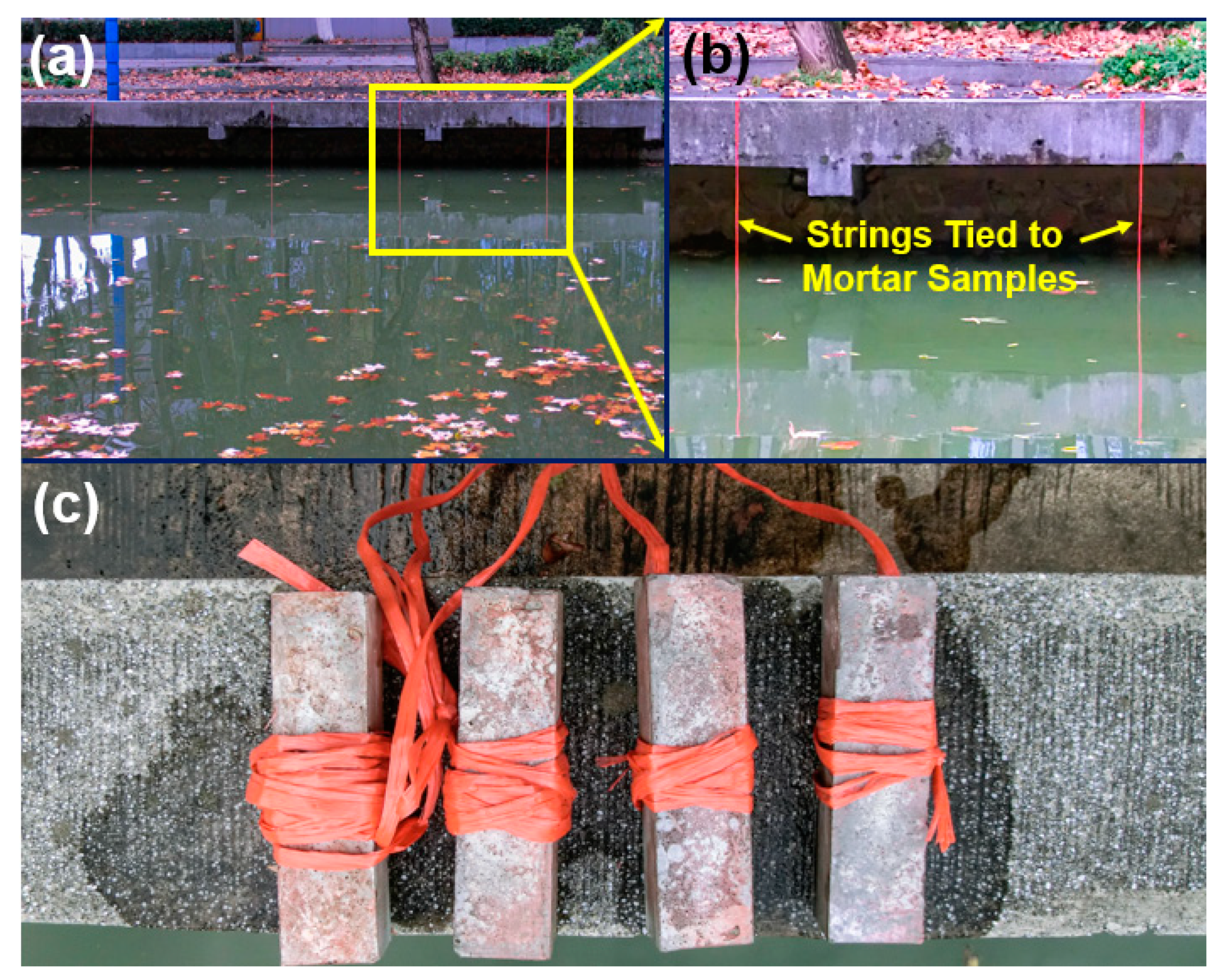 Nanomaterials 10 02385 g002