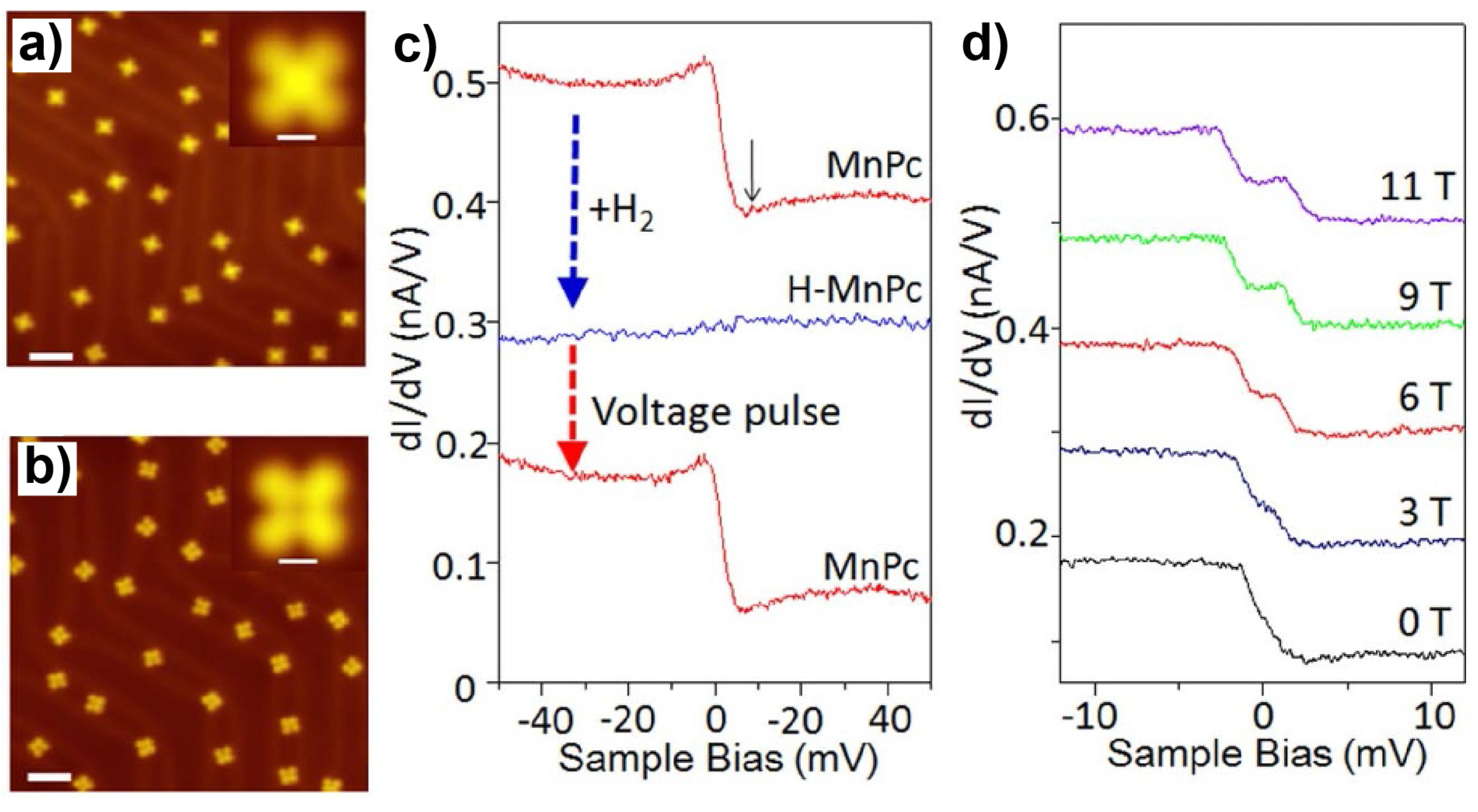 Nanomaterials 10 02393 g006