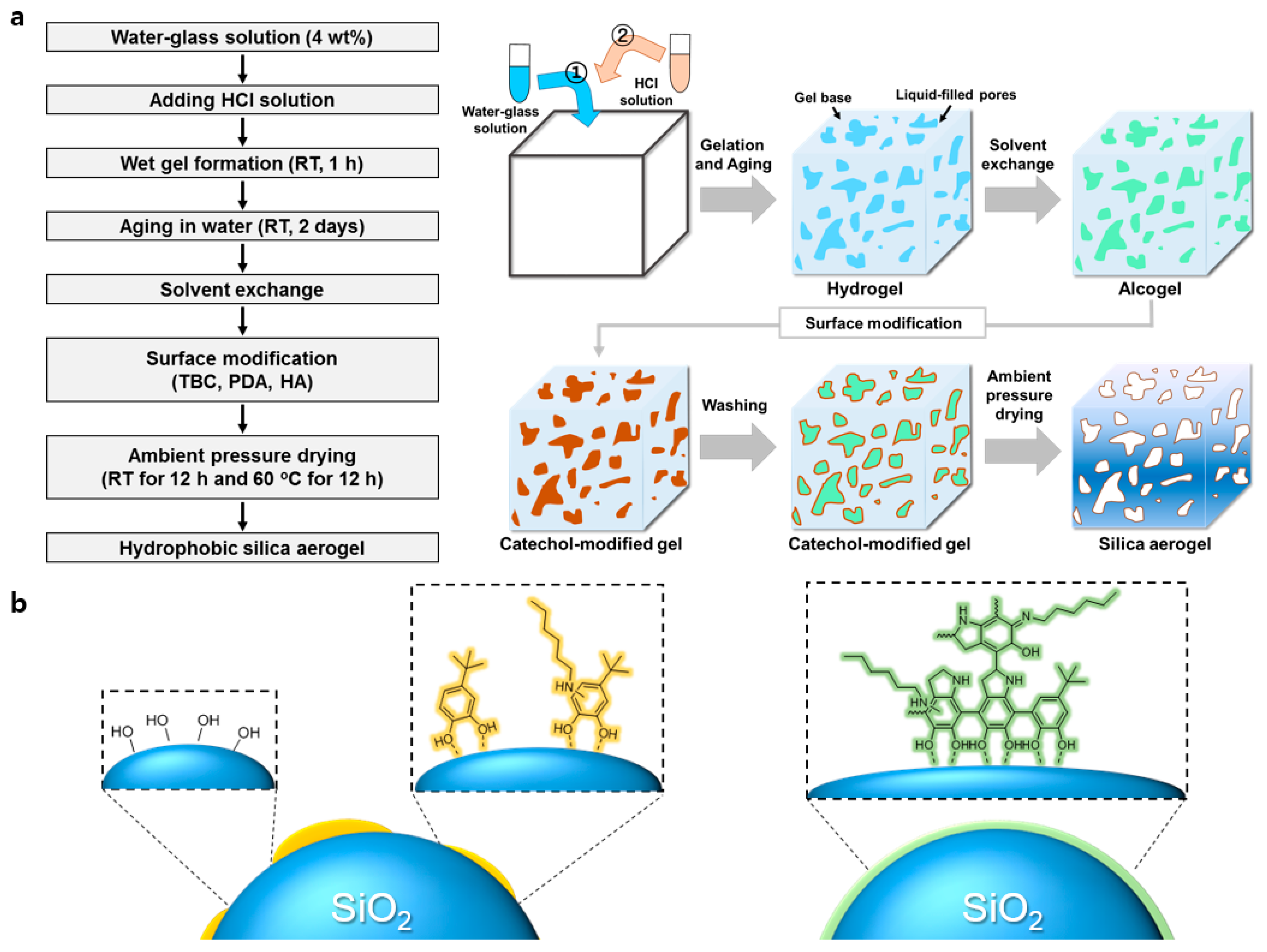 Nanomaterials 10 02406 g001