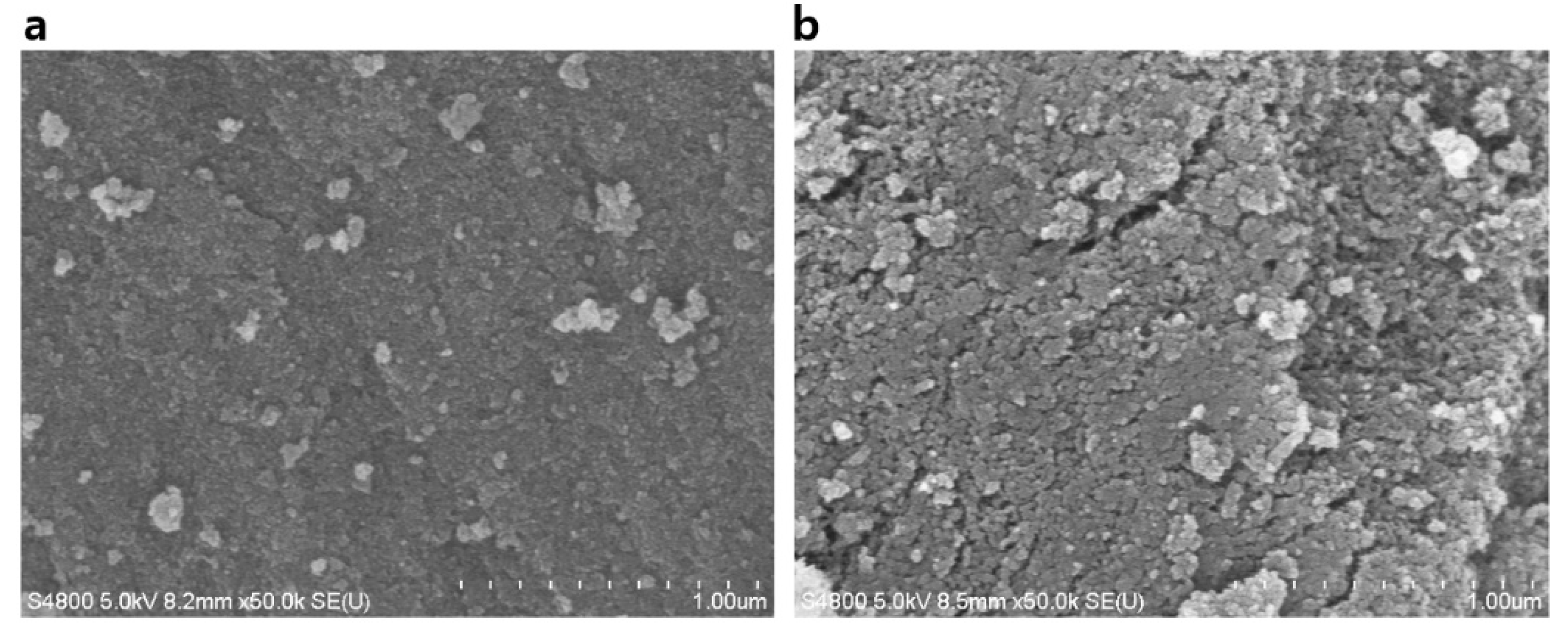Nanomaterials 10 02406 g003
