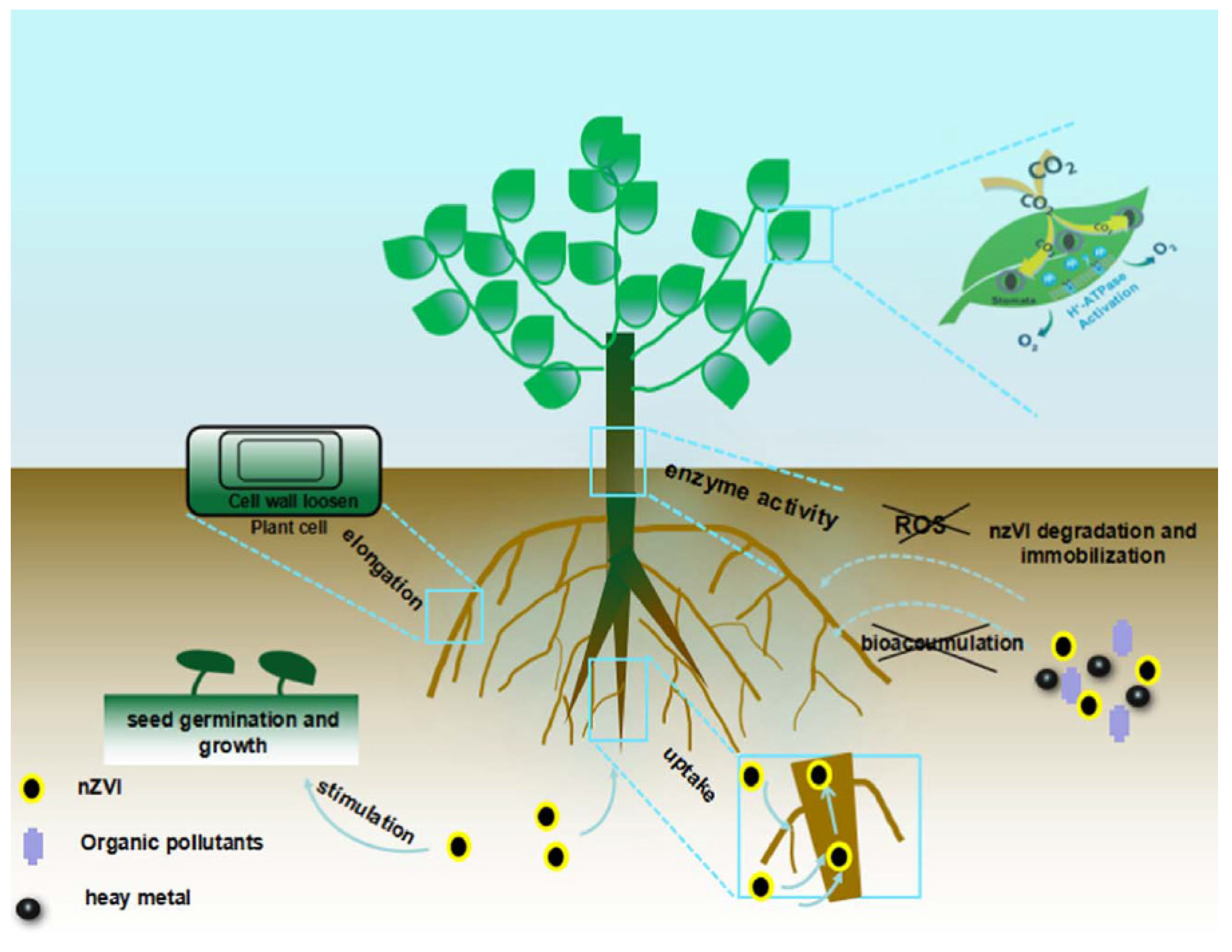 Nanomaterials 10 02411 g002 Nanomaterials 10 02411 g002