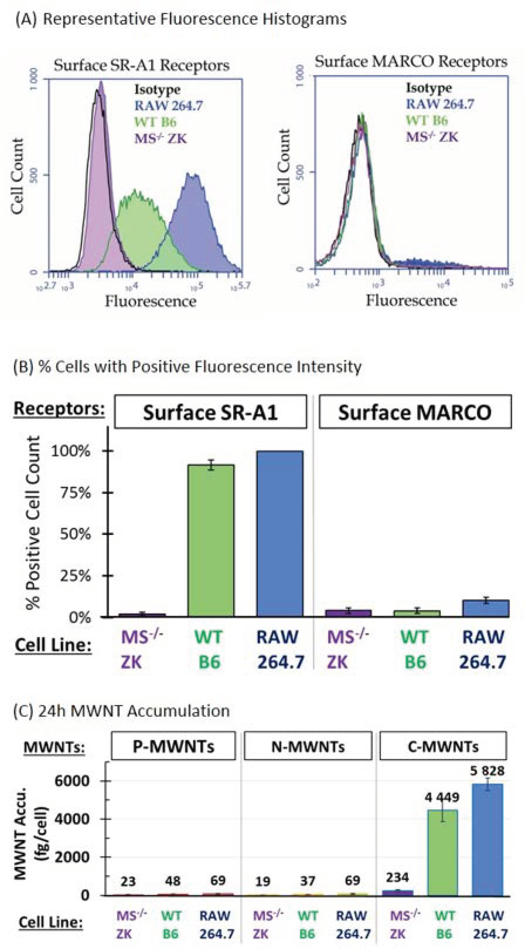 Nanomaterials 10 02417 g001