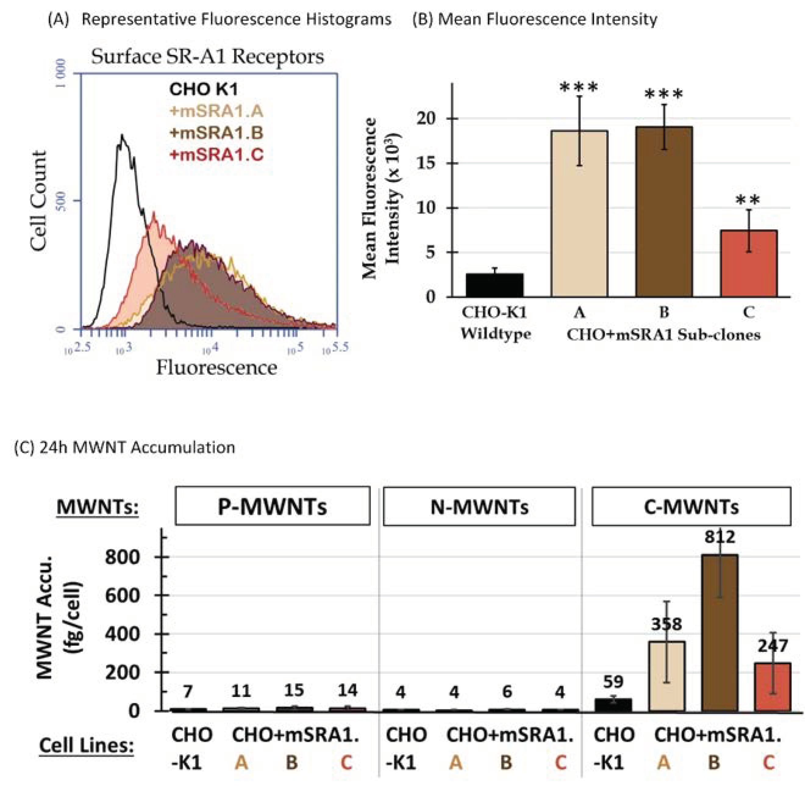 Nanomaterials 10 02417 g002