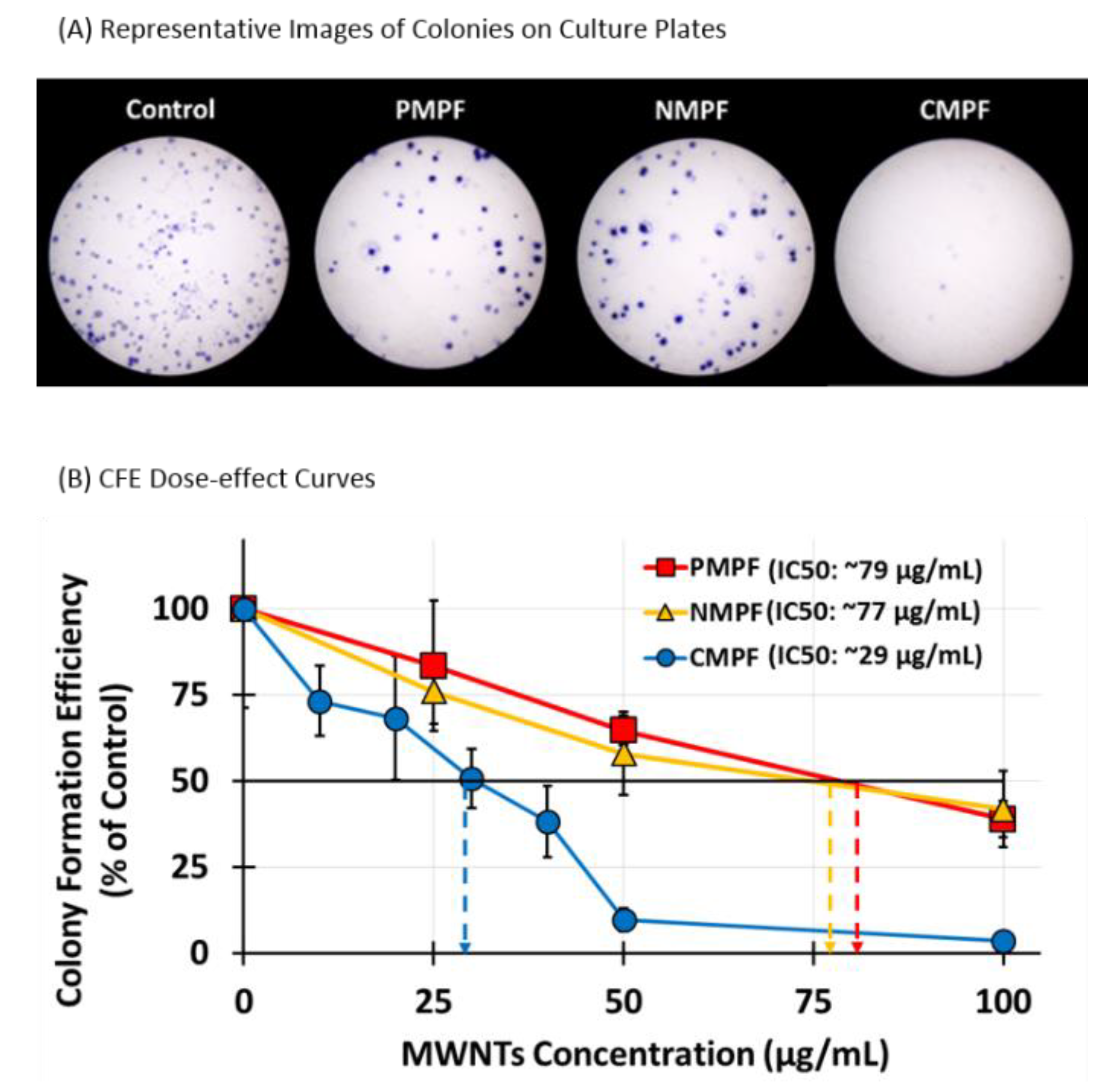 Nanomaterials 10 02417 g004