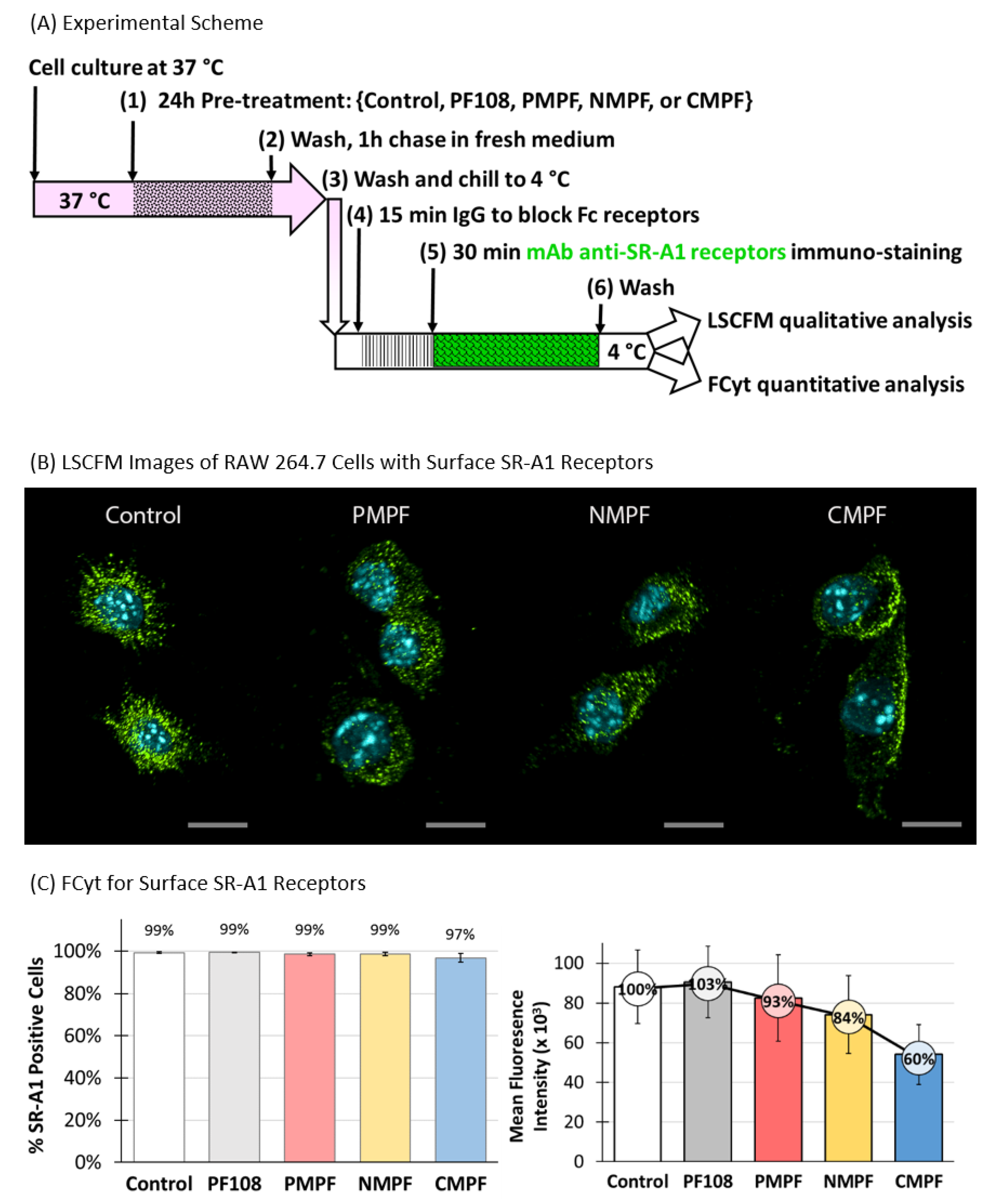 Nanomaterials 10 02417 g005
