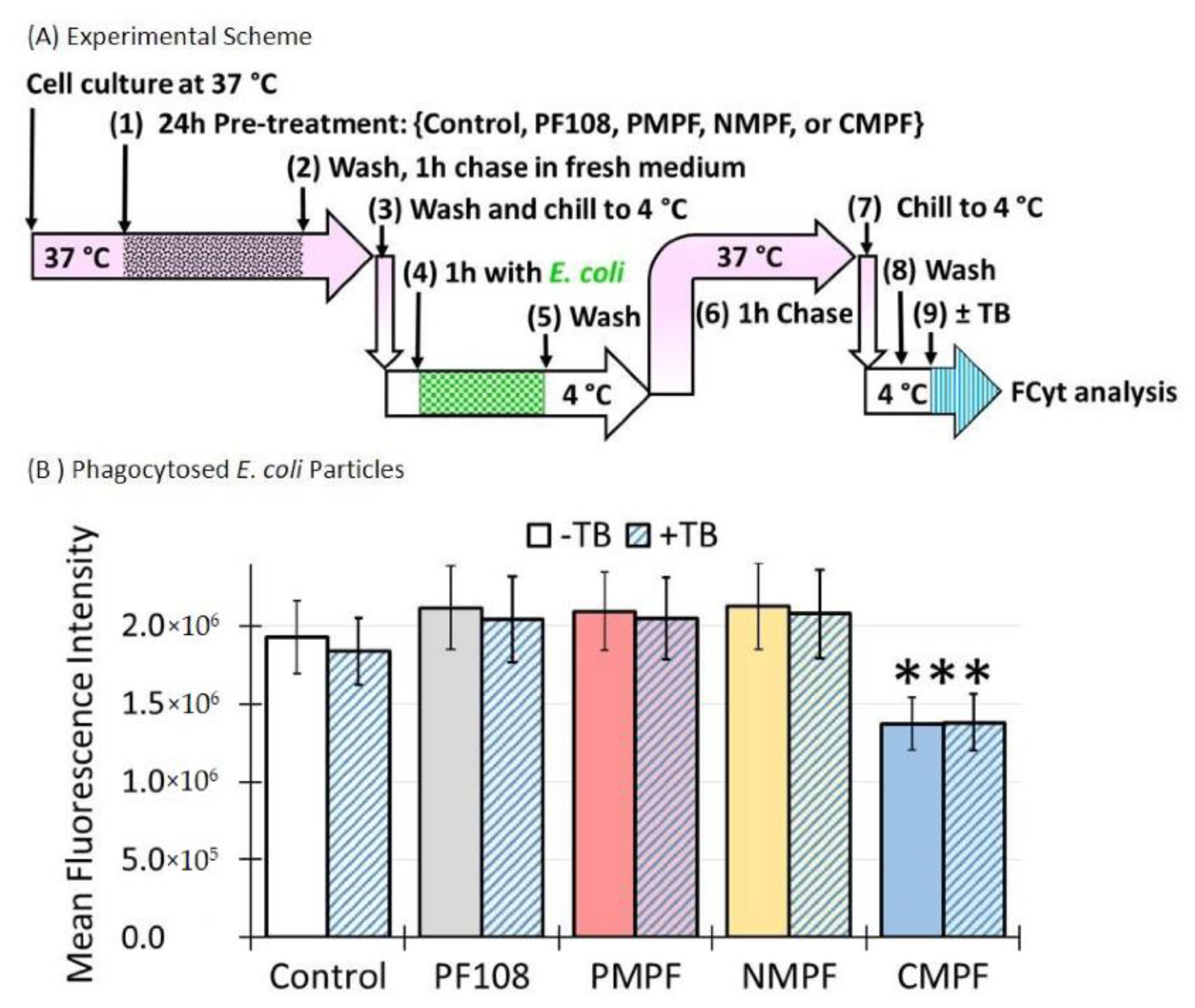Nanomaterials 10 02417 g007