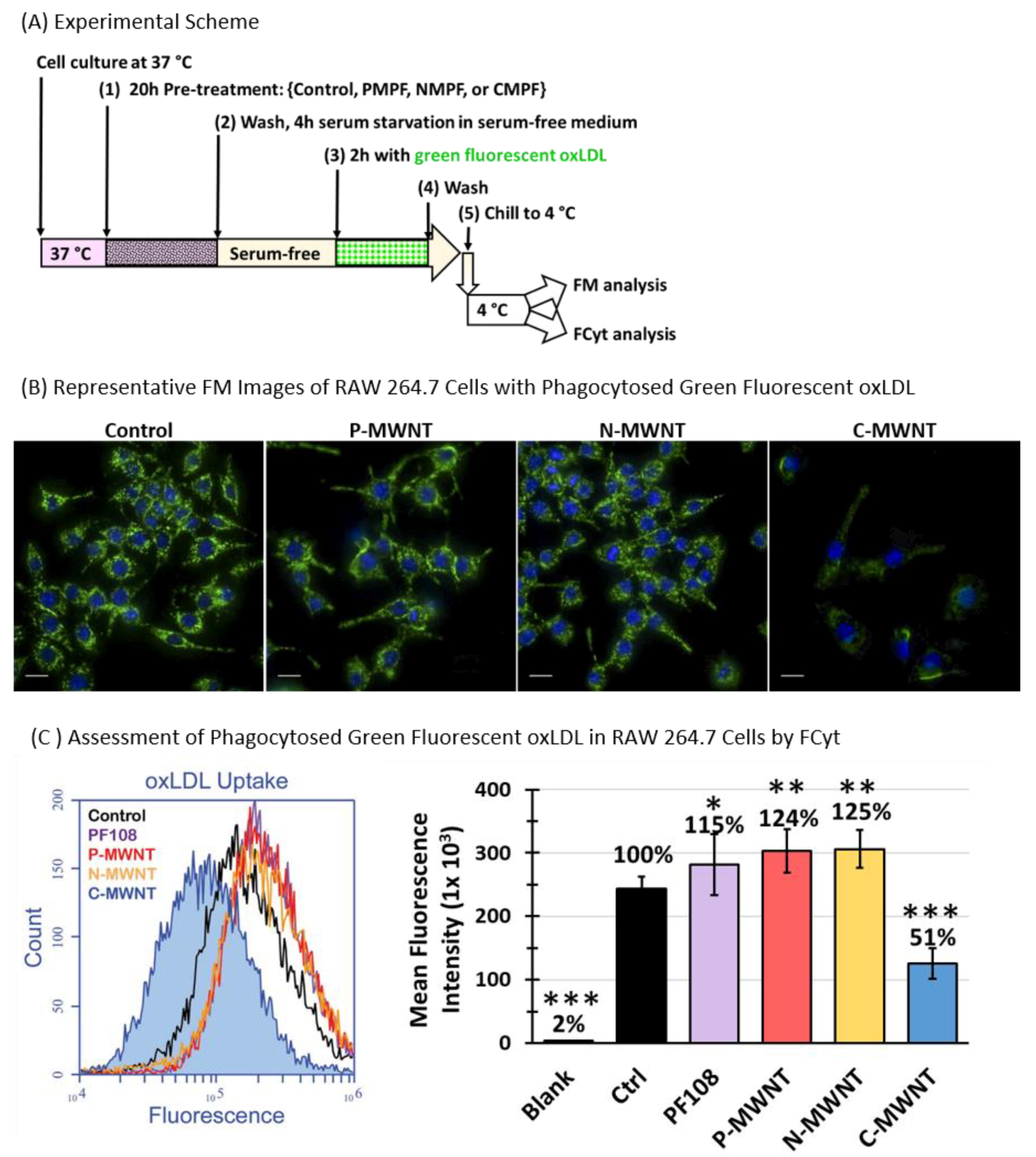 Nanomaterials 10 02417 g008