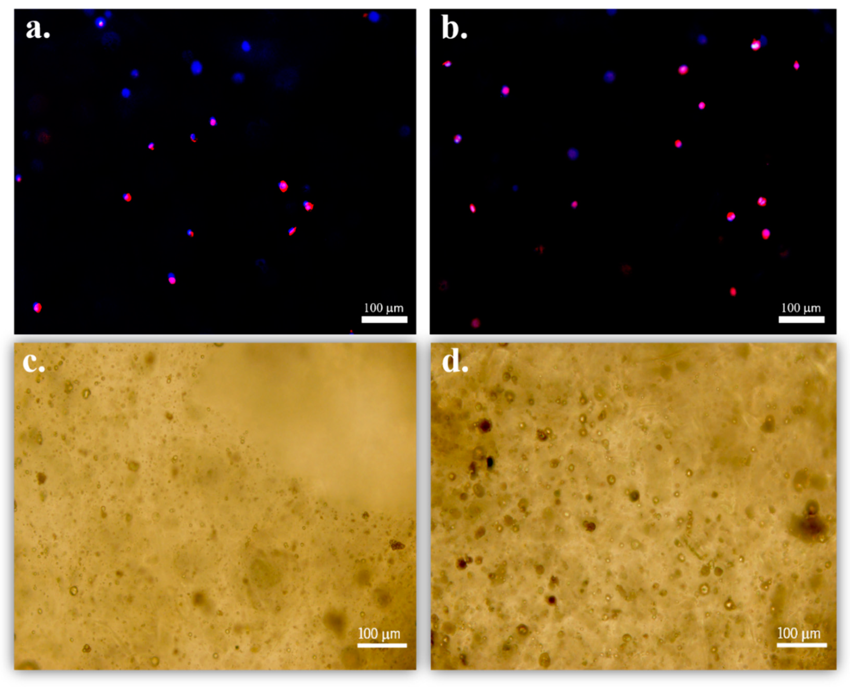 Nanomaterials 10 02421 g005 Nanomaterials 10 02421 g005