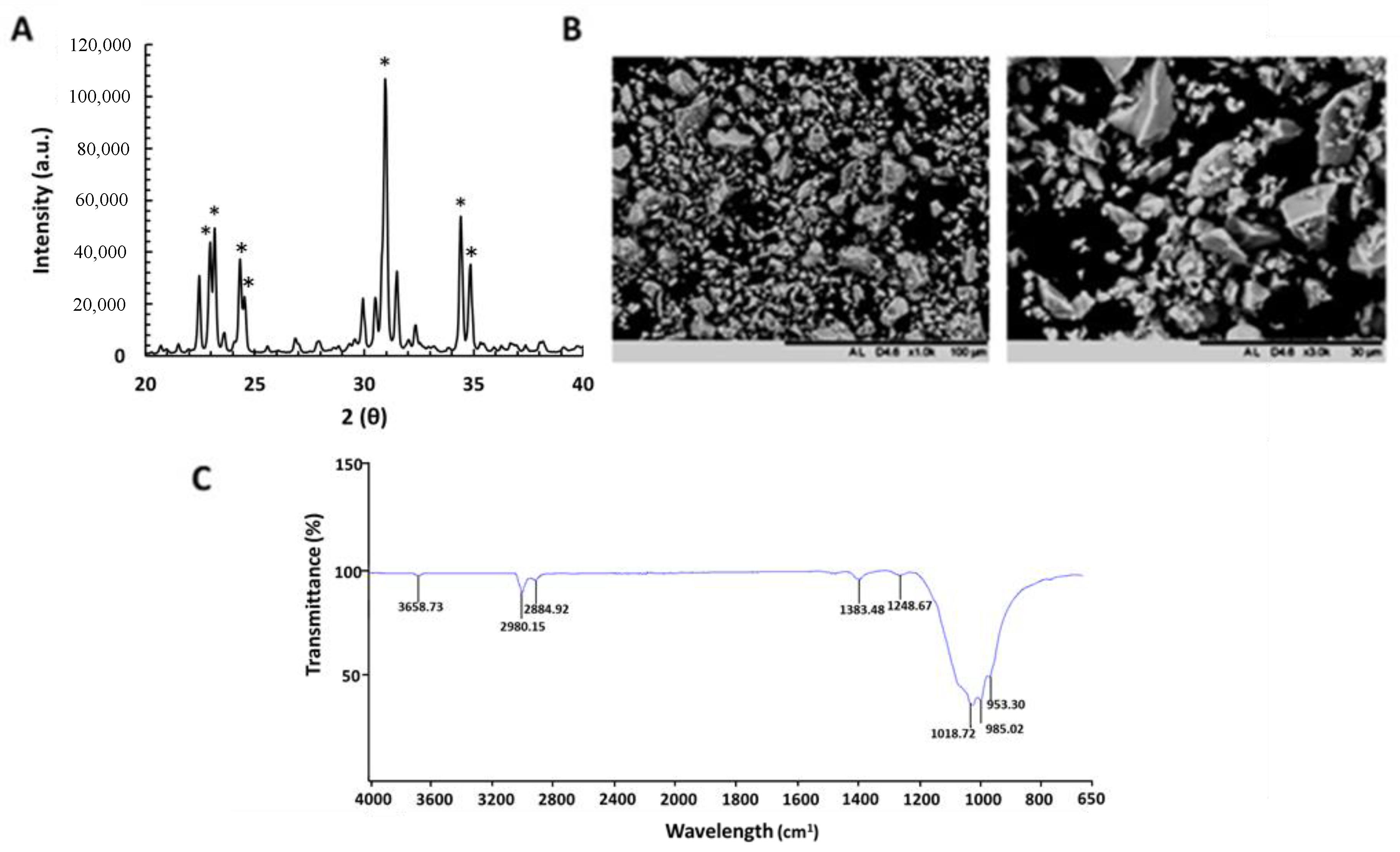 Nanomaterials 10 02442 g001