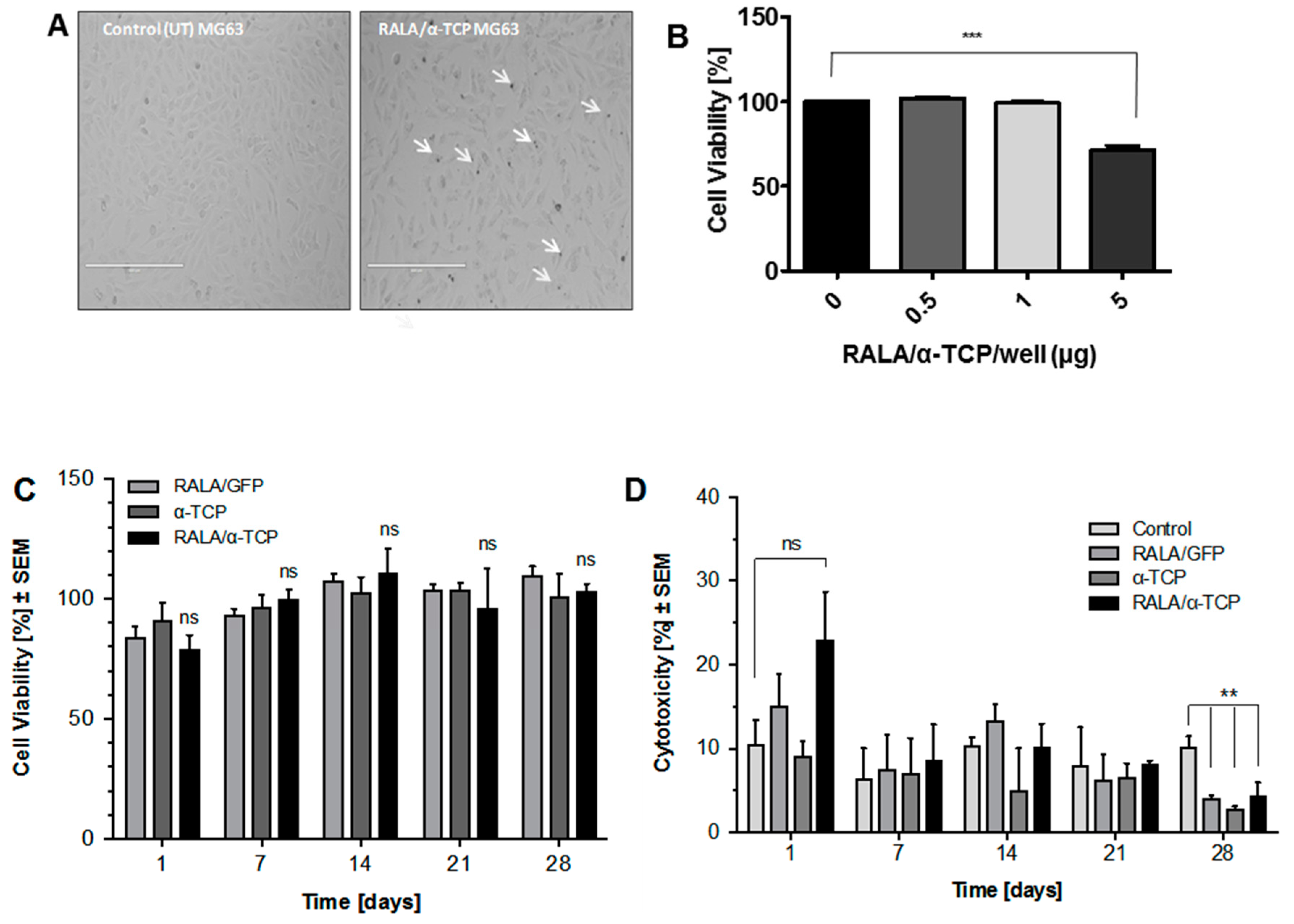 Nanomaterials 10 02442 g004