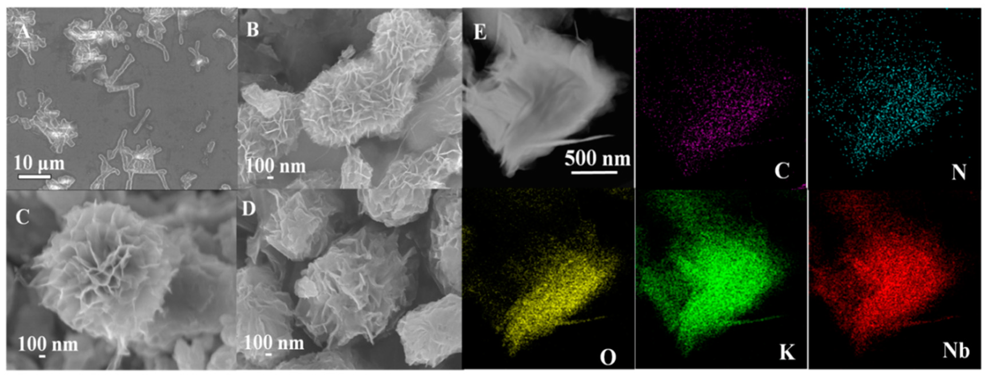 Nanomaterials 10 02449 g005