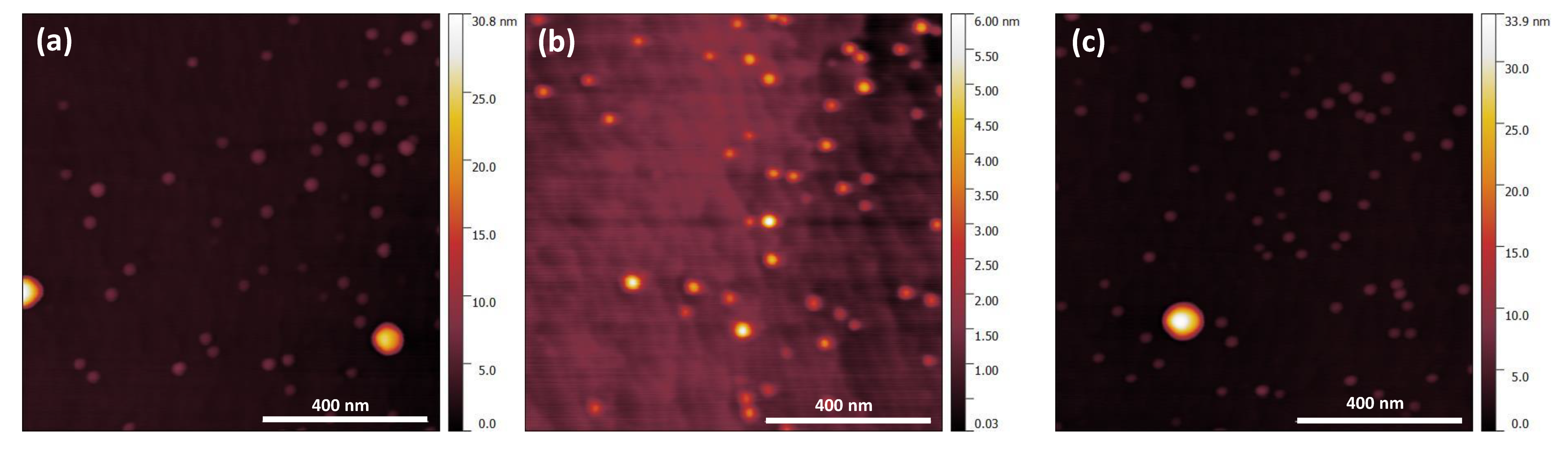 Nanomaterials 10 02450 g003 Nanomaterials 10 02450 g003